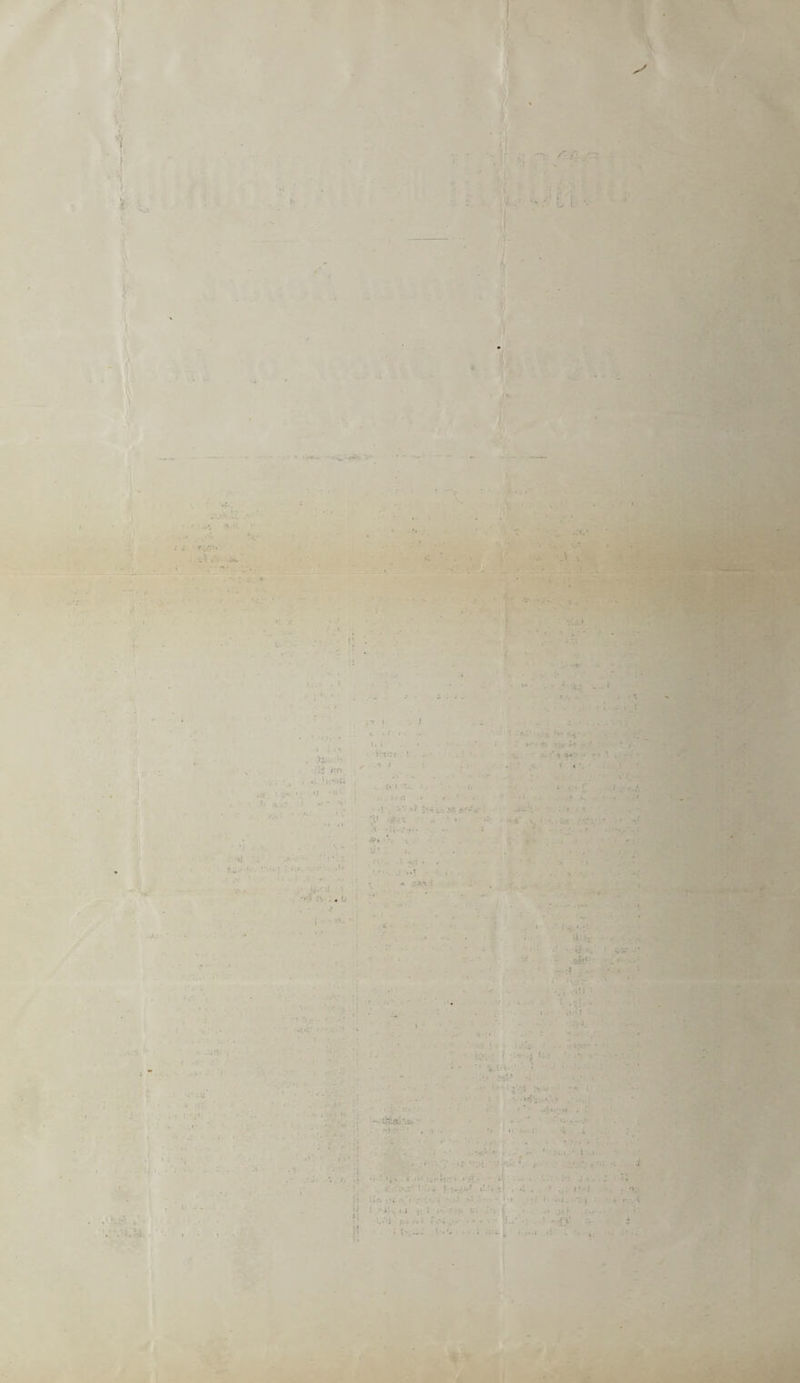 ' .. M , i «! 1 i >» • ! .'.y' • - ' * »Tf' •• • •• i < '* ■ ■, *. i >, - . . it t •- 1 •..* . * t i . ■ Mj|* - ■ J' .. •. • . t - «j V, . 5-V • ' ; ,#|<i •i* • • . .\+ - ; • .* f tty' ' * »i * [ 1 V* - » -•£:>?- * • un- f • i. fc/J *!l : ‘ • ■' y •• • - •' ' •  1 ■’'i -■ i, *4 : ; ' • ' , - - -in >ti . -vSSaT:*.. - . -!. . V . 4 . «. f‘ ' ' • • ; * * j ; » . • ' V •••• y * • - ..i- * i . 1 . S I. Ji i r\. L t; i.:h*iX ‘ • & * *? •; • ' ... J*-l . •> \r. i>i • ! *• • •» • 1 » • i . • .i ' i ; » «• i * *• .* , ■ • ~. -• • ... . . • J ' r. . 4 f b .. - ' • • i ■ - .. .