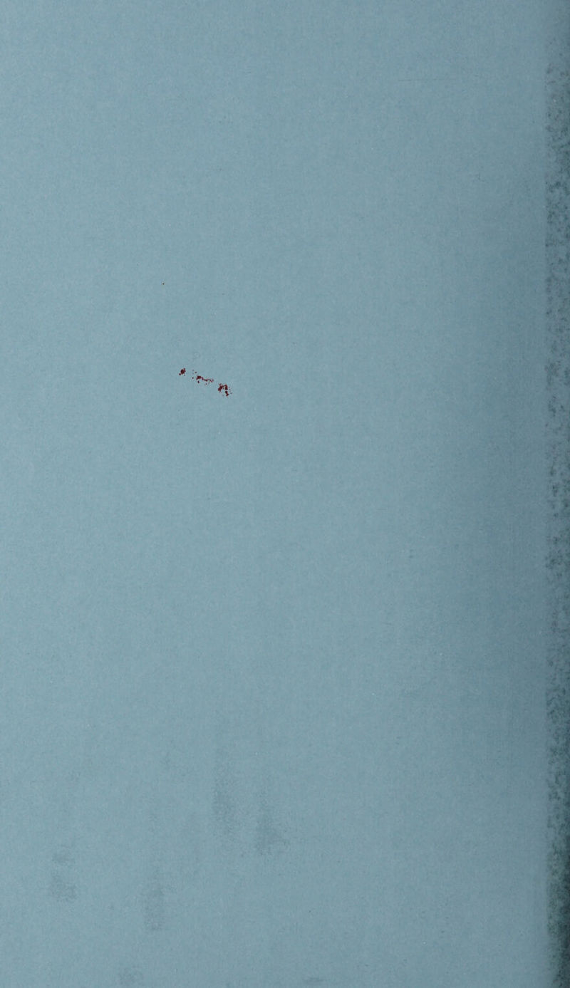 ,A 4 * % l * ■>' ■V i n * * a