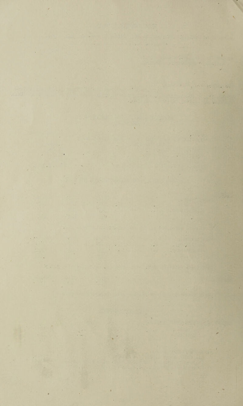 / ♦ ✓ * } / / V ■ \ »