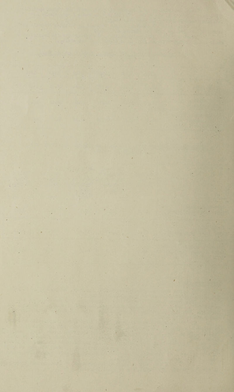 / ' I s V / # t \ • / ■