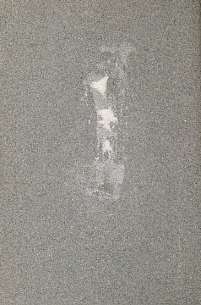 digitised image 2
