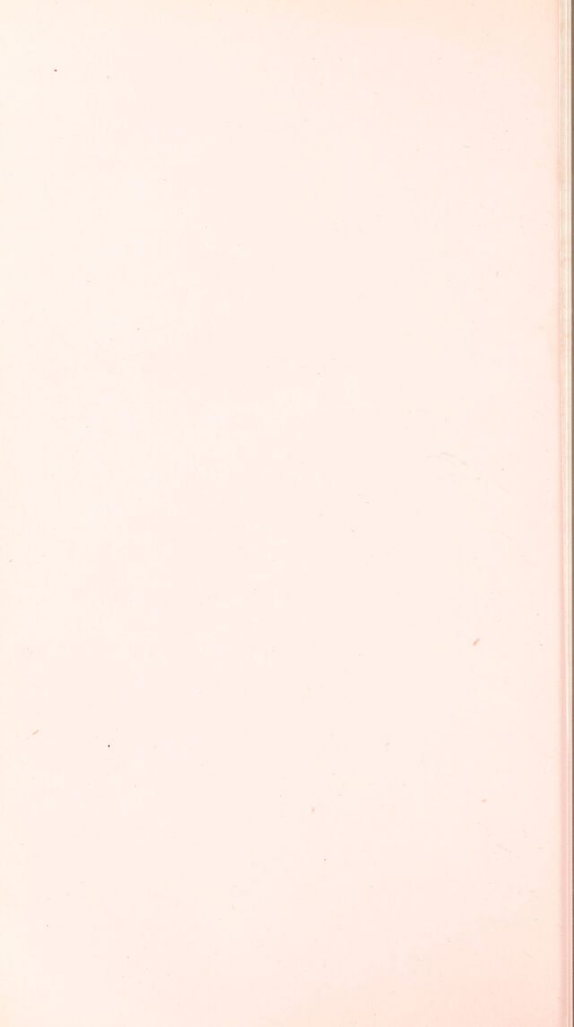 digitised image 2