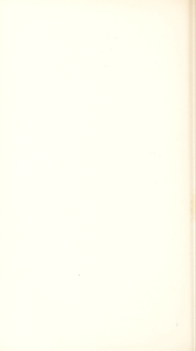 digitised image 2