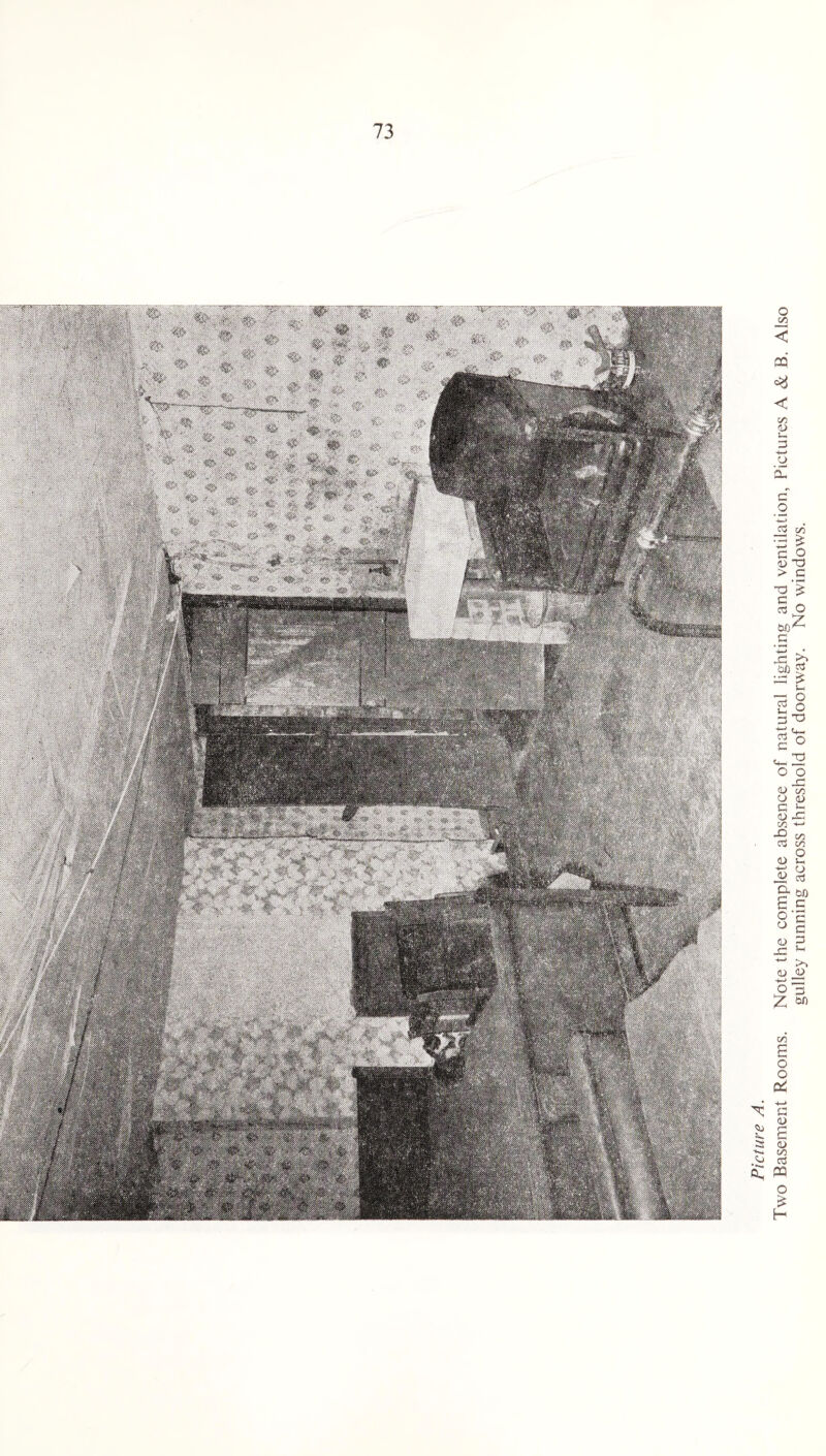 Two Basement Rooms. Note the complete absence of natural lighting and ventilation, Pictures A & B. Also gulley running across threshold of doorway. No windows.
