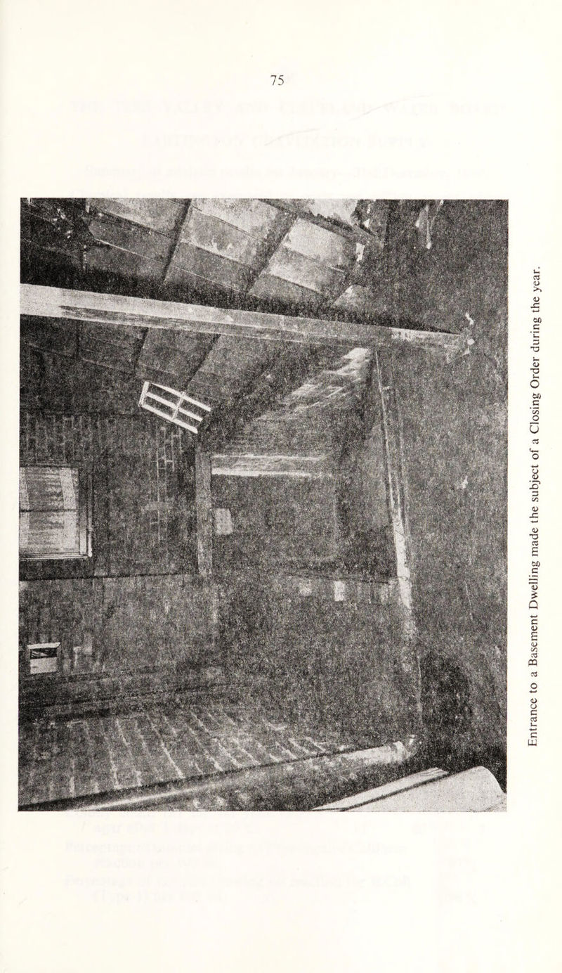 Entrance to a Basement Dwelling made the subject of a Closing Order during the year.