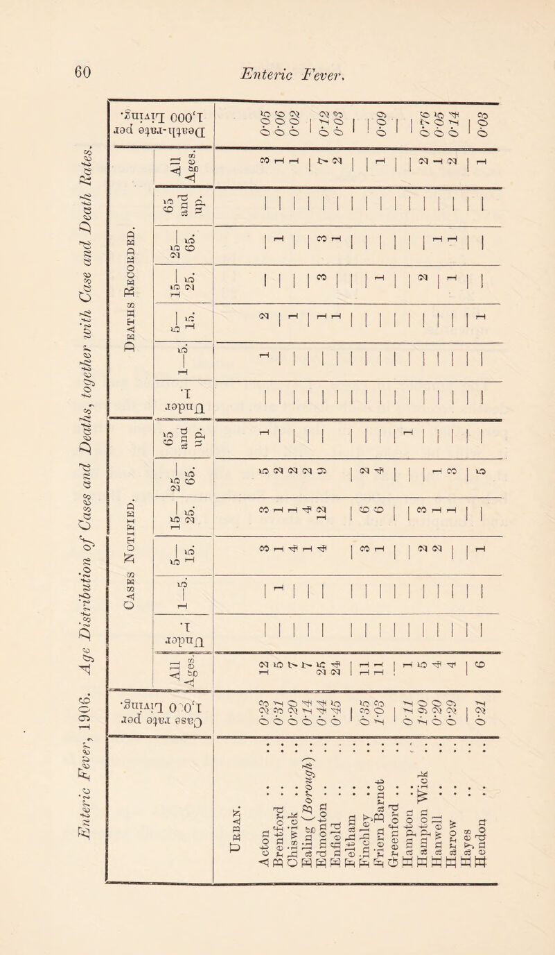 Enteric Fever, 1906. Age Distribution of Gases and Deaths, together with Case and Death Rates.