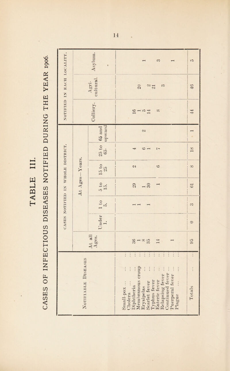 CASES OF INFECTIOUS DISEASES NOTIFIED DURING THE YEAR 1906.