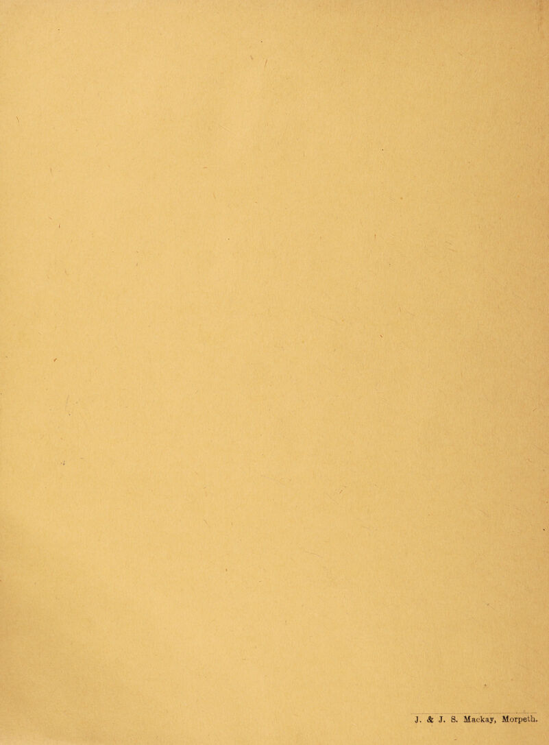 V 'V ') ■ m ■ t \ ' \ '. t / ai v ■ ’ : - . ■ . , . \ / \' >/; , ■ ■ * \ * : J. & J. S. Mackay, MoTpeth.