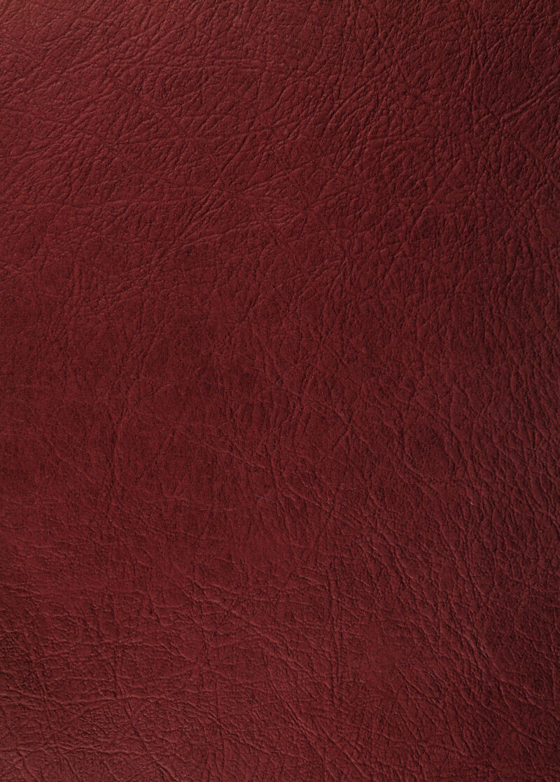 No text description is available for this image