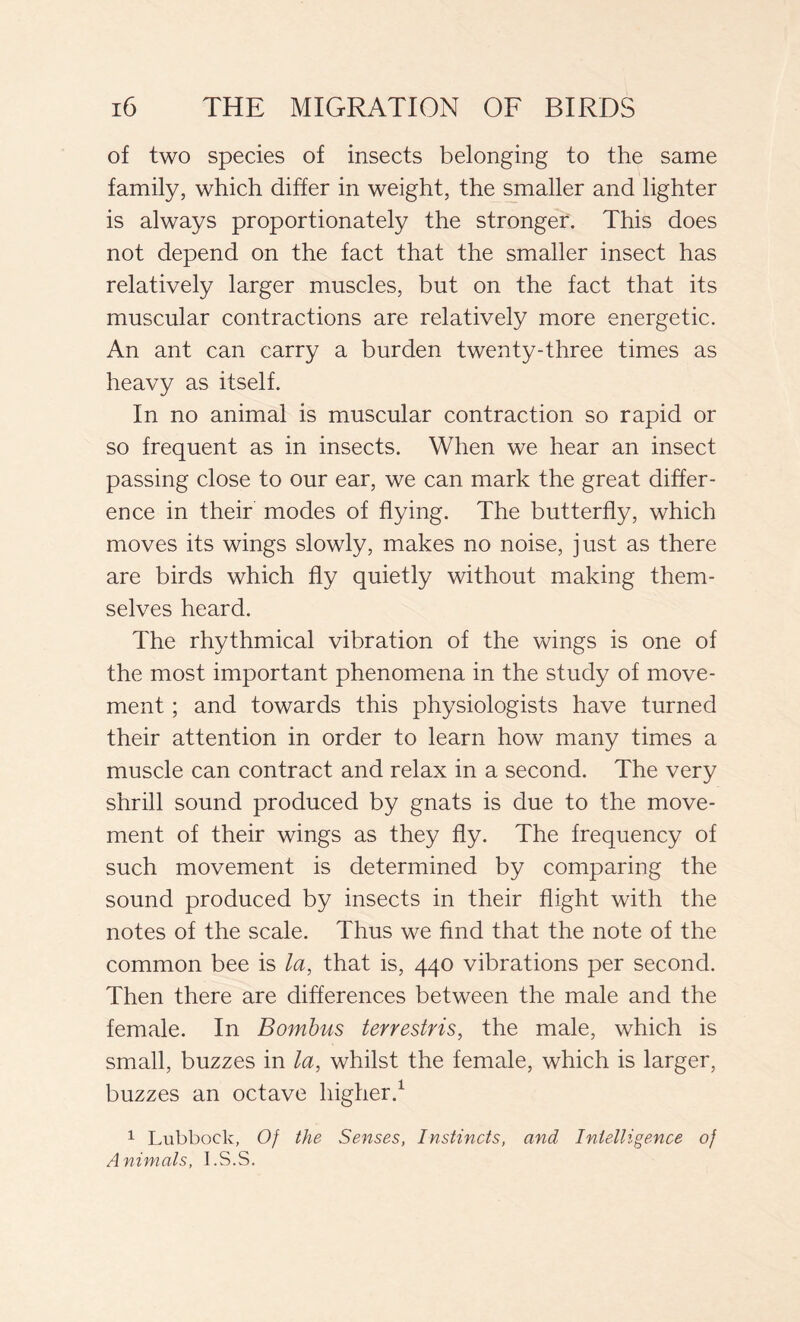 of two species of insects belonging to the same family, which differ in weight, the smaller and lighter is always proportionately the stronger. This does not depend on the fact that the smaller insect has relatively larger muscles, but on the fact that its muscular contractions are relatively more energetic. An ant can carry a burden twenty-three times as heavy as itself. In no animal is muscular contraction so rapid or so frequent as in insects. When we hear an insect passing close to our ear, we can mark the great differ- ence in their modes of flying. The butterfly, which moves its wings slowly, makes no noise, just as there are birds which fly quietly without making them- selves heard. The rhythmical vibration of the wings is one of the most important phenomena in the study of move- ment ; and towards this physiologists have turned their attention in order to learn how many times a muscle can contract and relax in a second. The very shrill sound produced by gnats is due to the move- ment of their wings as they fly. The frequency of such movement is determined by comparing the sound produced by insects in their flight with the notes of the scale. Thus we find that the note of the common bee is la, that is, 440 vibrations per second. Then there are differences between the male and the female. In Bombus terrestris, the male, which is small, buzzes in la, whilst the female, which is larger, buzzes an octave higher.1 1 Lubbock, Of the Senses, Instincts, and Intelligence of Animals, I.S.S.