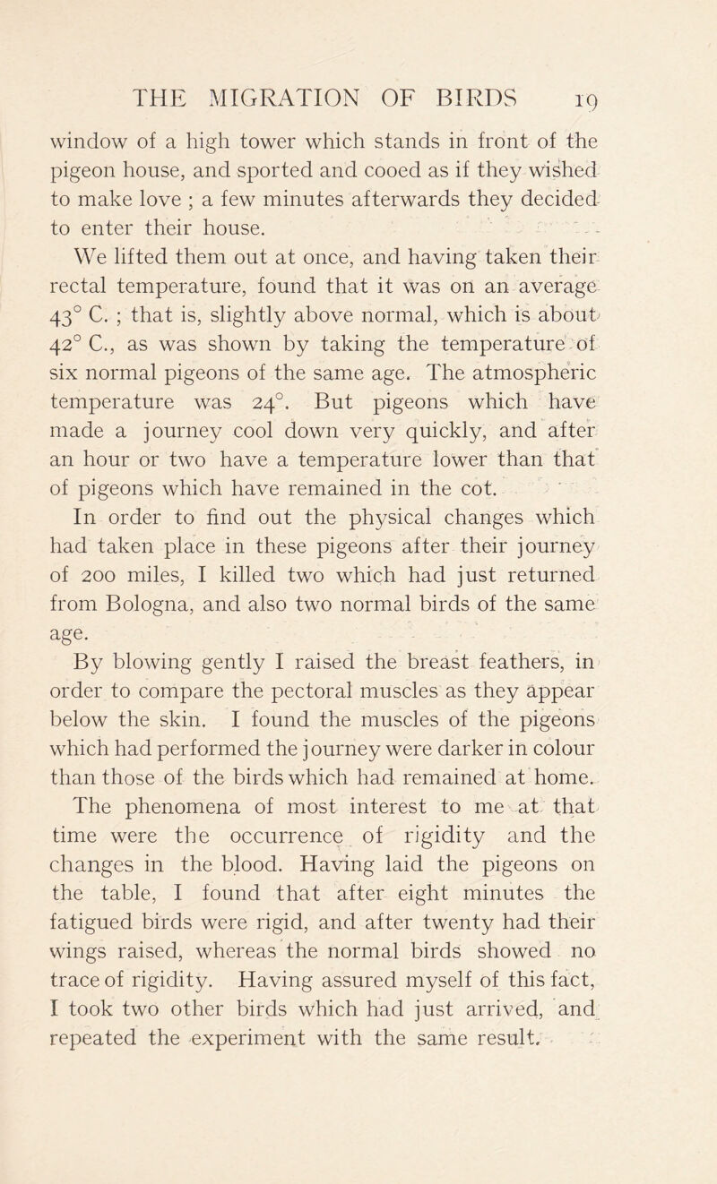 window of a high tower which stands in front of the pigeon house, and sported and cooed as if they wished to make love ; a few minutes afterwards they decided to enter their house. We lifted them out at once, and having taken their rectal temperature, found that it was on an average 430 C. ; that is, slightly above normal, which is about 420 C., as was shown by taking the temperature of six normal pigeons of the same age. The atmospheric temperature was 240. But pigeons which have made a journey cool down very quickly, and after an hour or two have a temperature lower than that of pigeons which have remained in the cot. In order to find out the physical changes which had taken place in these pigeons after their journey of 200 miles, I killed two which had just returned from Bologna, and also two normal birds of the same age. By blowing gently I raised the breast feathers, in order to compare the pectoral muscles as they appear below the skin. I found the muscles of the pigeons which had performed the journey were darker in colour than those of the birds which had remained at home. The phenomena of most interest to me at that time were the occurrence of rigidity and the changes in the blood. Having laid the pigeons on the table, I found that after eight minutes the fatigued birds were rigid, and after twenty had their wings raised, whereas the normal birds showed no trace of rigidity. Having assured myself of this fact, I took two other birds which had just arrived, and repeated the experiment with the same result.