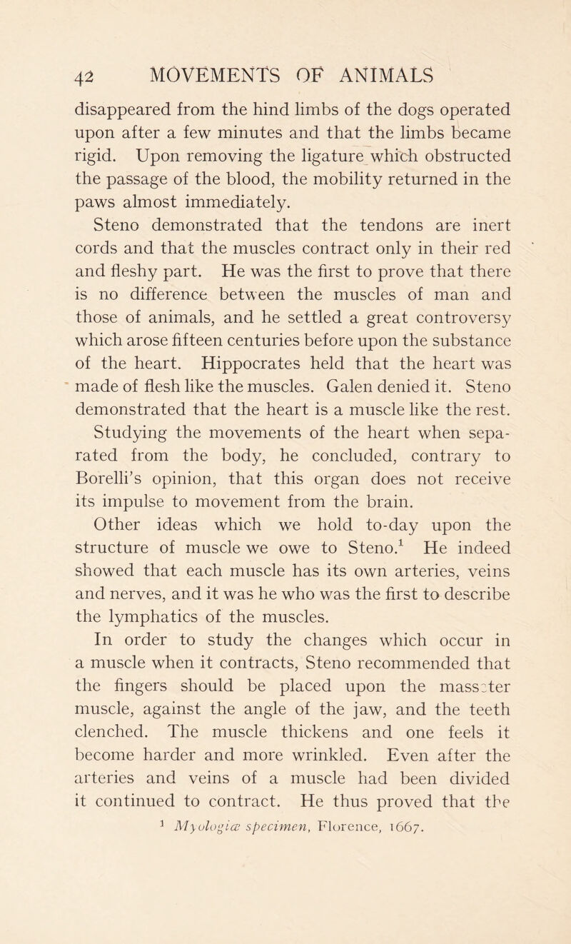 disappeared from the hind limbs of the dogs operated upon after a few minutes and that the limbs became rigid. Upon removing the ligature which obstructed the passage of the blood, the mobility returned in the paws almost immediately. Steno demonstrated that the tendons are inert cords and that the muscles contract only in their red and fleshy part. He was the first to prove that there is no difference between the muscles of man and those of animals, and he settled a great controversy which arose fifteen centuries before upon the substance of the heart. Hippocrates held that the heart was made of flesh like the muscles. Galen denied it. Steno demonstrated that the heart is a muscle like the rest. Studying the movements of the heart when sepa- rated from the body, he concluded, contrary to Borelli’s opinion, that this organ does not receive its impulse to movement from the brain. Other ideas which we hold to-day upon the structure of muscle we owe to Steno.1 He indeed showed that each muscle has its own arteries, veins and nerves, and it was he who was the first to describe the lymphatics of the muscles. In order to study the changes which occur in a muscle when it contracts, Steno recommended that the fingers should be placed upon the masszter muscle, against the angle of the jaw, and the teeth clenched. The muscle thickens and one feels it become harder and more wrinkled. Even after the arteries and veins of a muscle had been divided it continued to contract. He thus proved that the 3 Myologies specimen, Florence, 1667.