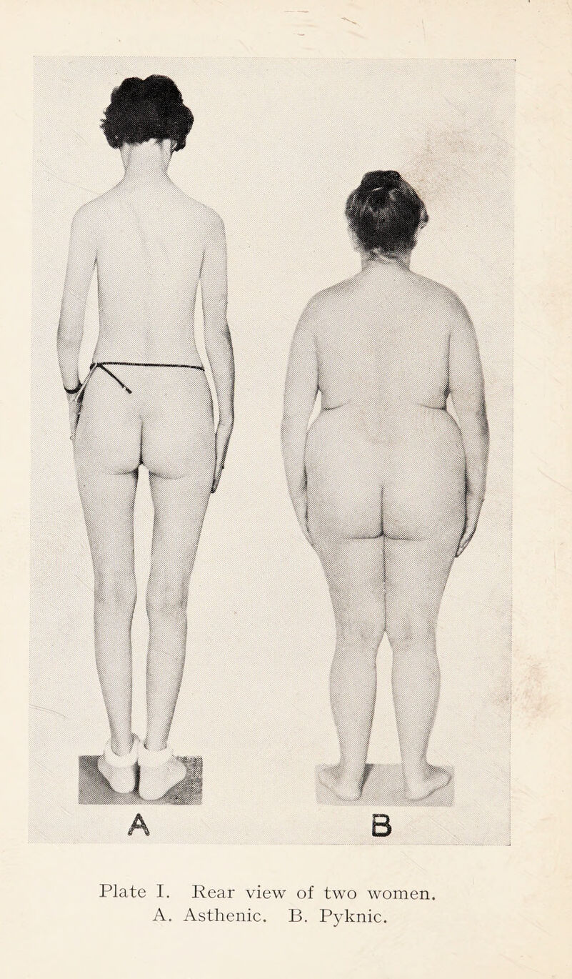 Plate I. Rear view of two women. A. Asthenic. B. Pyknic.