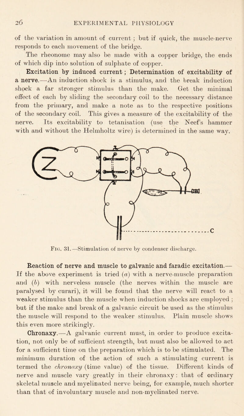 of the variation in amount of current; but if quick, the muscle-nerve responds to each movement of the bridge. The rheonome may also be made with a copper bridge, the ends of which dip into solution of sulphate of copper. Excitation by induced current; Determination of excitability of a nerve.—An induction shock is a stimulus, and the break induction shock a far stronger stimulus than the make. Get the minimal effect of each by sliding the secondary coil to the necessary distance from the primary, and make a note as to the respective positions of the secondary coil. This gives a measure of the excitability of the nerve. Its excitability to tetanisation (use the Neef’s hammer with and without the Helmholtz wire) is determined in the same way. Fig. 31.—Stimulation of nerve by condenser discharge. Reaction of nerve and muscle to galvanic and faradic excitation.— If the above experiment is tried (a) with a nerve-muscle preparation and (6) with nerveless muscle (the nerves within the muscle are paralysed by curari), it will be found that the nerve will react to a weaker stimulus than the muscle when induction shocks are employed ; but if the make and break of a galvanic circuit be used as the stimulus the muscle will respond to the weaker stimulus. Plain muscle shows this even more strikingly. Chronaxy.—A galvanic current must, in order to produce excita- tion, not only be of sufficient strength, but must also be allowed to act for a sufficient time on the preparation which is to be stimulated. The minimum duration of the action of such a stimulating current is termed the chronaxy (time value) of the tissue. Different kinds of nerve and muscle vary greatly in their chronaxy : that of ordinary skeletal muscle and myelinated nerve being, for example, much shorter than that of involuntary muscle and non-myelinated nerve.