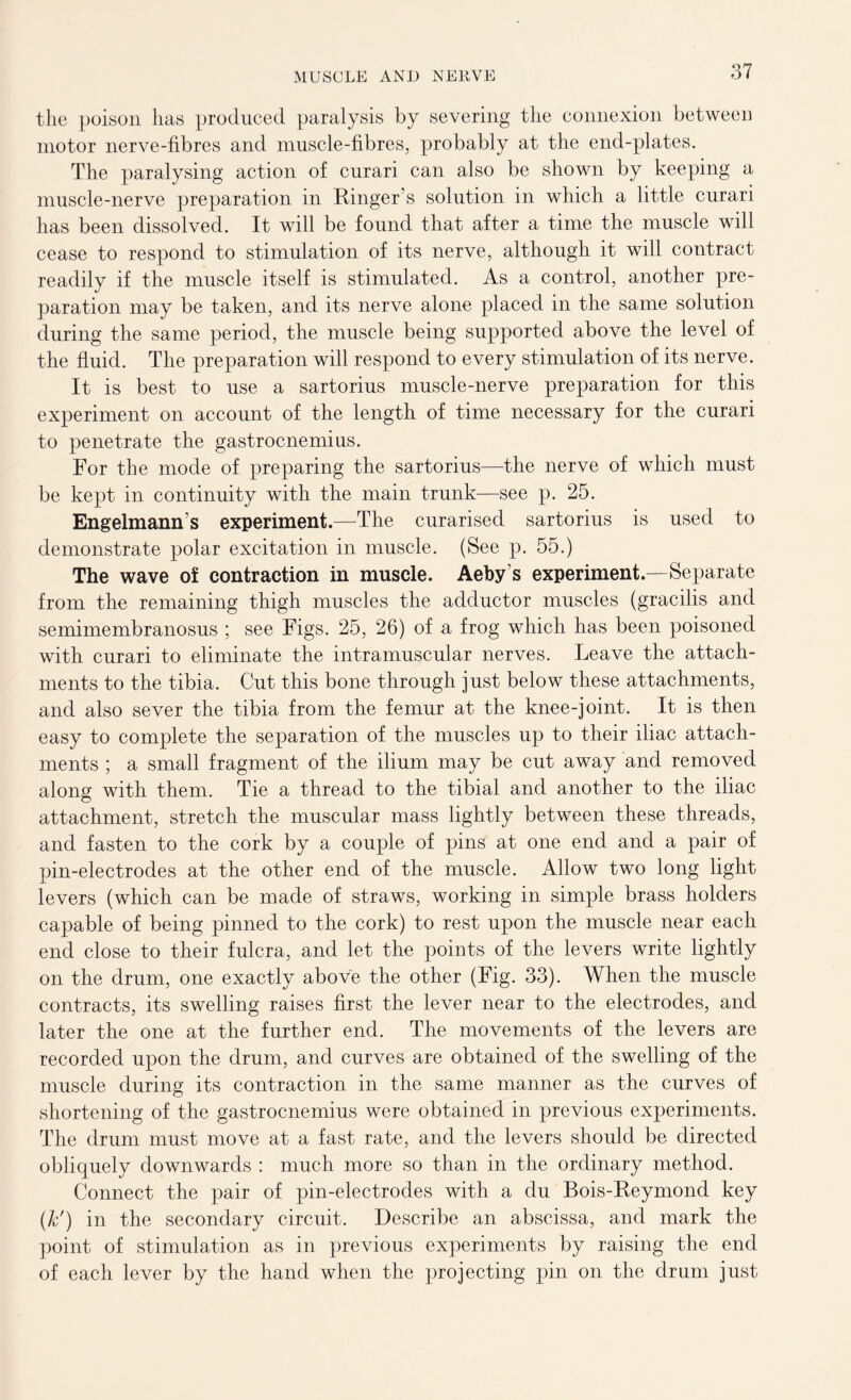 the poison has produced paralysis by severing the connexion between motor nerve-fibres and muscle-fibres, probably at the end-plates. The paralysing action of curari can also be shown by keeping a muscle-nerve preparation in Ringer s solution in which a little curari has been dissolved. It will be found that after a time the muscle will cease to respond to stimulation of its nerve, although it will contract readily if the muscle itself is stimulated. As a control, another pre- paration may be taken, and its nerve alone placed in the same solution during the same period, the muscle being supported above the level of the fluid. The preparation will respond to every stimulation of its nerve. It is best to use a sartorius muscle-nerve preparation for this experiment on account of the length of time necessary for the curari to penetrate the gastrocnemius. For the mode of preparing the sartorius—the nerve of which must be kept in continuity with the main trunk—see p. 25. Engelmann s experiment.—The curarised sartorius is used to demonstrate polar excitation in muscle. (See p. 55.) The wave of contraction in muscle. Aeby s experiment.—Separate from the remaining thigh muscles the adductor muscles (gracilis and semimembranosus ; see Figs. 25, 26) of a frog which has been poisoned with curari to eliminate the intramuscular nerves. Leave the attach- ments to the tibia. Cut this bone through just below these attachments, and also sever the tibia from the femur at the knee-joint. It is then easy to complete the separation of the muscles up to their iliac attach- ments ; a small fragment of the ilium may be cut away and removed along with them. Tie a thread to the tibial and another to the iliac attachment, stretch the muscular mass lightly between these threads, and fasten to the cork by a couple of pins at one end and a pair of pin-electrodes at the other end of the muscle. Allow two long light levers (which can be made of straws, working in simple brass holders capable of being pinned to the cork) to rest upon the muscle near each end close to their fulcra, and let the points of the levers write lightly on the drum, one exactly above the other (Fig. 33). When the muscle contracts, its swelling raises first the lever near to the electrodes, and later the one at the further end. The movements of the levers are recorded upon the drum, and curves are obtained of the swelling of the muscle during its contraction in the same manner as the curves of shortening of the gastrocnemius were obtained in previous experiments. The drum must move at a fast rate, and the levers should be directed obliquely downwards : much more so than in the ordinary method. Connect the pair of pin-electrodes with a du Bois-Reymond key (k') in the secondary circuit. Describe an abscissa, and mark the point of stimulation as in previous experiments by raising the end of each lever by the hand when the projecting pin on the drum just