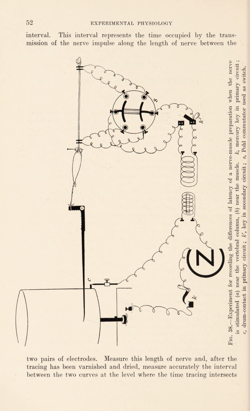 interval. This interval represents the time occupied by the trans- mission of the nerve impulse along the length of nerve between the two pairs of electrodes. Measure this length of nerve and, after the tracing has been varnished and dried, measure accurately the interval between the two curves at the level where the time tracing intersects