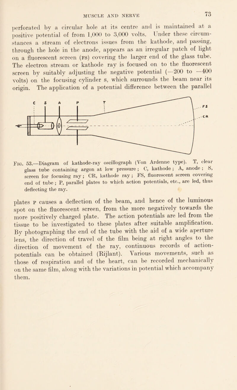 perforated by a circular hole at its centre and is maintained at a positive potential of from 1,000 to 3,000 volts. Under these circum- stances a stream of electrons issues from the kathode, and passing, through the hole in the anode, appears as an irregular patch of light on a fluorescent screen (fs) covering the larger end of the glass tube. The electron stream or kathode ray is focused on to the fluorescent screen by suitably adjusting the negative potential (—200 to —400 volts) on the focusing cylinder s, which surrounds the beam near its origin. The application of a potential difference between the parallel Fig. 53.—Diagram of kathode-ray oscillograph (Von Ardenne type). T, clear glass tube containing argon at low pressure ; C, kathode ; A, anode ; 8, screen for focusing ray; CR, kathode ray ; FS, fluorescent screen covering end of tube ; P, parallel plates to which action potentials, etc., are led, thus deflecting the ray. plates p causes a deflection of the beam, and hence of the luminous spot on the fluorescent screen, from the more negatively towards the more positively charged plate. The action potentials are led from the tissue to be investigated to these plates after suitable amplification. By photographing the end of the tube with the aid of a wide aperture lens, the direction of travel of the film being at right angles to the direction of movement of the ray, continuous records of action- potentials can be obtained (Bijlant). Various movements, such as those of respiration and of the heart, can be recorded mechanically on the same film, along with the variations in potential which accompany them.