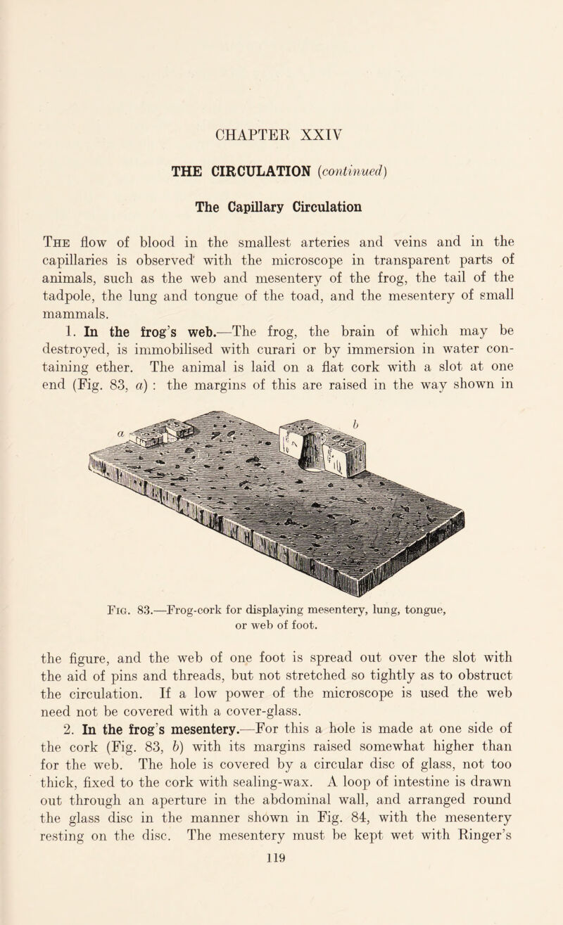 THE CIRCULATION (continued) The Capillary Circulation The flow of blood in the smallest arteries and veins and in the capillaries is observed with the microscope in transparent parts of animals, such as the web and mesentery of the frog, the tail of the tadpole, the lung and tongue of the toad, and the mesentery of small mammals. 1. In the frog’s web.—The frog, the brain of which may be destroyed, is immobilised with curari or by immersion in water con- taining ether. The animal is laid on a flat cork with a slot at one end (Fig. 83, a) : the margins of this are raised in the way shown in Fig. 83.—Frog-cork for displaying mesentery, lung, tongue, or web of foot. the figure, and the web of one foot is spread out over the slot with the aid of pins and threads, but not stretched so tightly as to obstruct the circulation. If a low power of the microscope is used the web need not be covered with a cover-glass. 2. In the frog’s mesentery.—For this a hole is made at one side of the cork (Fig. 83, b) with its margins raised somewhat higher than for the web. The hole is covered by a circular disc of glass, not too thick, fixed to the cork with sealing-wax. A loop of intestine is drawn out through an aperture in the abdominal wall, and arranged round the glass disc in the manner shown in Fig. 84, with the mesentery resting on the disc. The mesentery must be kept wet with Ringer’s