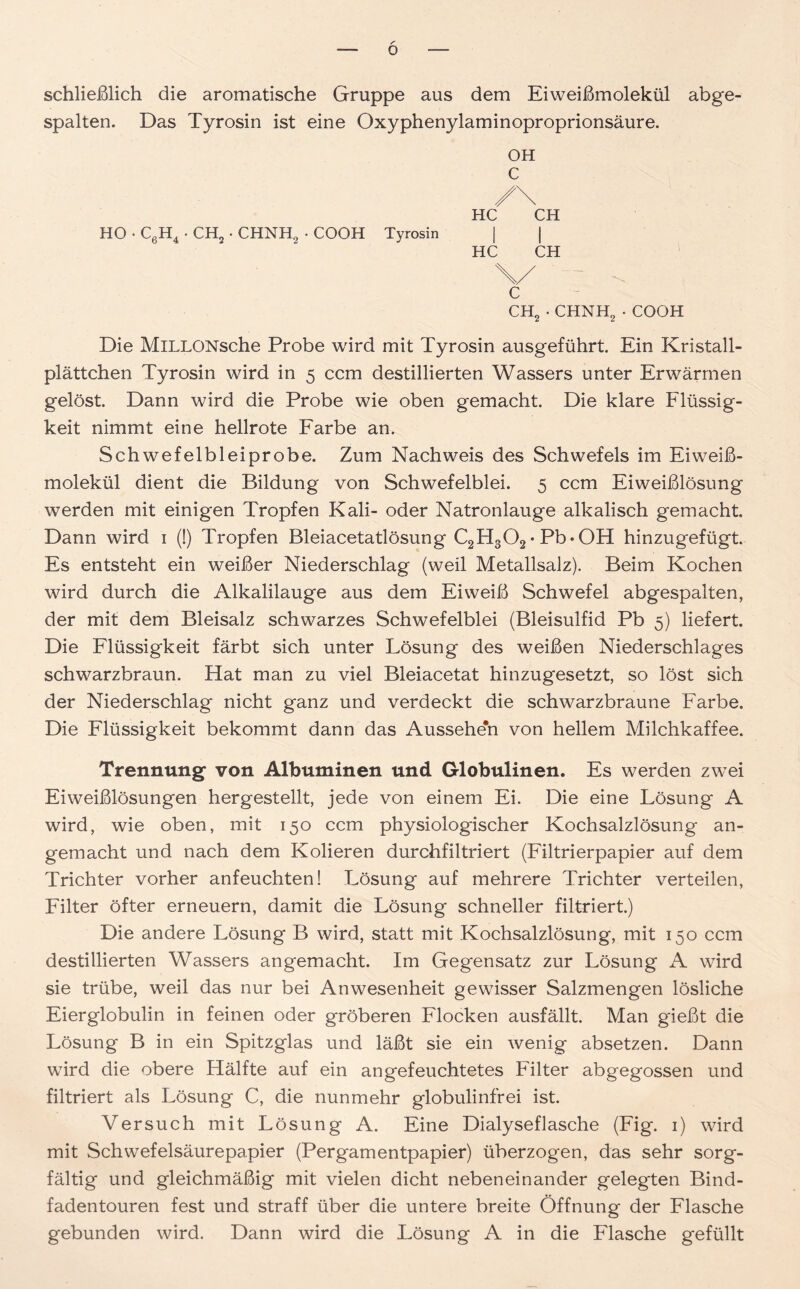 schließlich die aromatische Gruppe aus dem Eiweißmolekül abge- spalten. Das Tyrosin ist eine Oxyphenylaminoproprionsäure. OH C /\ HC CH HO • C6H4 • CH2 • CHNH, • COOH Tyrosin | | HC CH \/ C CH2 • CHNH2 • COOH Die MlLLONsche Probe wird mit Tyrosin ausgeführt. Ein Kristall- plättchen Tyrosin wird in 5 ccm destillierten Wassers unter Erwärmen gelöst. Dann wird die Probe wie oben gemacht. Die klare Flüssig- keit nimmt eine hellrote Farbe an. Schwefelbleiprobe. Zum Nachweis des Schwefels im Eiweiß- molekül dient die Bildung von Schwefelblei. 5 ccm Eiweißlösung werden mit einigen Tropfen Kali- oder Natronlauge alkalisch gemacht. Dann wird 1 (!) Tropfen Bleiacetatlösung C2H302‘Pb*0H hinzugefügt. Es entsteht ein weißer Niederschlag (weil Metallsalz). Beim Kochen wird durch die Alkalilauge aus dem Eiweiß Schwefel abgespalten, der mit dem Bleisalz schwarzes Schwefelblei (Bleisulfid Pb 5) liefert. Die Flüssigkeit färbt sich unter Lösung des weißen Niederschlages schwarzbraun. Hat man zu viel Bleiacetat hinzugesetzt, so löst sich der Niederschlag nicht ganz und verdeckt die schwarzbraune Farbe. Die Flüssigkeit bekommt dann das Aussehe'n von hellem Milchkaffee. Trennung von Albuminen und Globulinen. Es werden zwei Eiweißlösungen hergestellt, jede von einem Ei. Die eine Lösung A wird, wie oben, mit 150 ccm physiologischer Kochsalzlösung an- gemacht und nach dem Kolieren durchfiltriert (Filtrierpapier auf dem Trichter vorher anfeuchten! Lösung auf mehrere Trichter verteilen, Filter öfter erneuern, damit die Lösung schneller filtriert.) Die andere Lösung B wird, statt mit Kochsalzlösung, mit 150 ccm destillierten Wassers angemacht. Im Gegensatz zur Lösung A wird sie trübe, weil das nur bei Anwesenheit gewisser Salzmengen lösliche Eierglobulin in feinen oder gröberen Flocken ausfällt. Man gießt die Lösung B in ein Spitzglas und läßt sie ein wenig absetzen. Dann wird die obere Hälfte auf ein an gefeuchtetes Filter abgegossen und filtriert als Lösung C, die nunmehr globulinfrei ist. Versuch mit Lösung A. Eine Dialyseflasche (Fig. 1) wird mit Schwefelsäurepapier (Pergamentpapier) überzogen, das sehr sorg- fältig und gleichmäßig mit vielen dicht nebeneinander gelegten Bind- fadentouren fest und straff über die untere breite Öffnung der Flasche gebunden wird. Dann wird die Lösung A in die Flasche gefüllt
