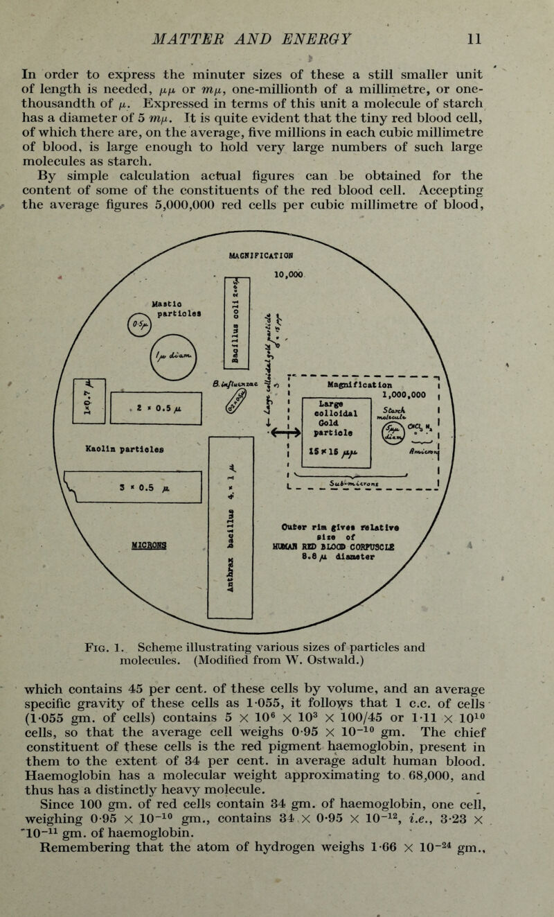 In order to express the minuter sizes of these a still smaller Unit of length is needed, [x/x or ra/x, one-millionth of a millimetre, or one- thousandth of /la. Expressed in terms of this unit a molecule of starch has a diameter of 5 mu. It is quite evident that the tiny red blood cell, of which there are, on the average, five millions in each cubic millimetre of blood, is large enough to hold very large numbers of such large molecules as starch. By simple calculation actual figures can be obtained for the content of some of the constituents of the red blood cell. Accepting the average figures 5,000,000 red cells per cubic millimetre of blood, Fig. 1. Scheme illustrating various sizes of particles and molecules. (Modified from W. Ostwald.) which contains 45 per cent, of these cells by volume, and an average specific gravity of these cells as 1-055, it follows that 1 c.c. of cells (1-055 gm. of cells) contains 5 X 106 X 103 X 100/45 or 1-11 x 1010 cells, so that the average cell weighs 0-95 x 10-10 gm. The chief constituent of these cells is the red pigment haemoglobin, present in them to the extent of 34 per cent, in average adult human blood. Haemoglobin has a molecular weight approximating to 68,000, and thus has a distinctly heavy molecule. Since 100 gm. of red cells contain 34 gm. of haemoglobin, one cell, weighing 0-95 X 10-10 gm., contains 34.x 0-95 X 10-12, i.e., 3-23 X 10-11 gm. of haemoglobin. Remembering that the atom of hydrogen weighs 1-66 x 10-24 gm..
