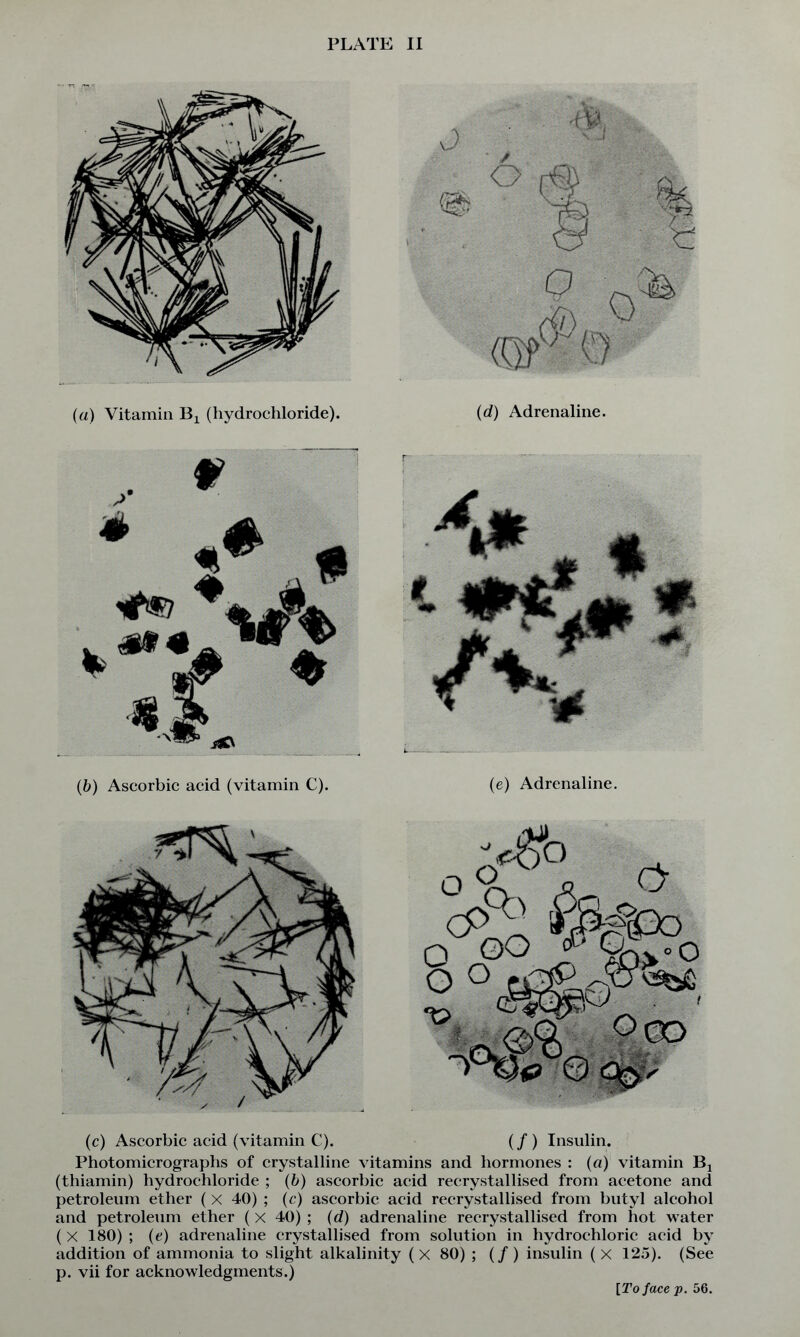 PLATE II (a) Vitamin Bx (hydrochloride). , * (b) Ascorbic acid (vitamin C). (d) Adrenaline. (e) Adrenaline. (c) Ascorbic acid (vitamin C). (/ ) Insulin. Photomicrographs of crystalline vitamins and hormones : (a) vitamin Bj (thiamin) hydrochloride ; (b) ascorbic acid recrystallised from acetone and petroleum ether ( x 40) ; (c) ascorbic acid recrystallised from butyl alcohol and petroleum ether (x 40) ; (d) adrenaline recrystallised from hot water (x 180) ; (e) adrenaline crystallised from solution in hydrochloric acid by addition of ammonia to slight alkalinity (x 80) ; (/) insulin (x 125). (See p. vii for acknowledgments.) [To face p. 56.