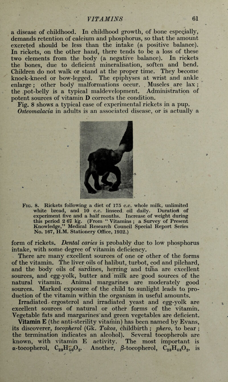 a disease of childhood. In childhood growth, of bone espeqially, demands retention of calcium and phosphorus, so that the amount excreted should be less than the intake (a positive balance). In rickets, on the other hand, there tends to be a loss of these two elements from the body (a negative balance). In rickets the bones, due to deficient mineralisation, soften and bend. Children do not walk or stand at the proper time. They become knock-kneed or bow-legged. The epiphyses at wrist and ankle enlarge ; other body malformations occur. . Muscles are lax ; the .pot-belly is a typical maldevelopment. Administration of potent sources of vitamin D corrects the condition. Fig. 8 shows a typical case of experimental rickets in a pup. Osteomalacia in adults is an associated disease, or is actually a Fig. 8. Rickets following a diet of 175 c.c. whole milk, unlimited white bread, and 10 c.c. linseed, oil daily. Duration of experiment five and a half months. Increase of weight during this period 2 67 kg. (From “ Vitamins ; a Survey of Present Knowledge,” Medical Research Council Special Report Series No. 167, H.M. Stationery Office, 1932.) form of rickets. Dental caries is probably due to low phosphorus intake, with some degree of vitamin deficiency. There are many excellent sources of one or other of the forms of the vitamin. The liver oils of halibut, turbot, cod and pilchard, and the body oils of sardines, herring and tuna are excellent sources, and egg-yolk, butter and milk are good sources of the natural vitamin. Animal margarines are moderately good sources. Marked exposure of the child to sunlight leads to pro- duction of the vitamin within the organism in useful amounts. Irradiated ergosterol and irradiated yeast and egg-yolk are excellent sources of natural or other forms of the vitamin. Vegetable fats and margarines and green vegetables are deficient. Vitamin E (the anti-sterility vitamin) has been named by Evans, its discoverer, tocopherol (Gk. Tokos, childbirth; phero, to bear ; the termination indicates an alcohol). Several tocopherols are known, with vitamin E activity. The most important is a-tocopherol, C29H50O2. Another, tocopherol, C28H4802, is