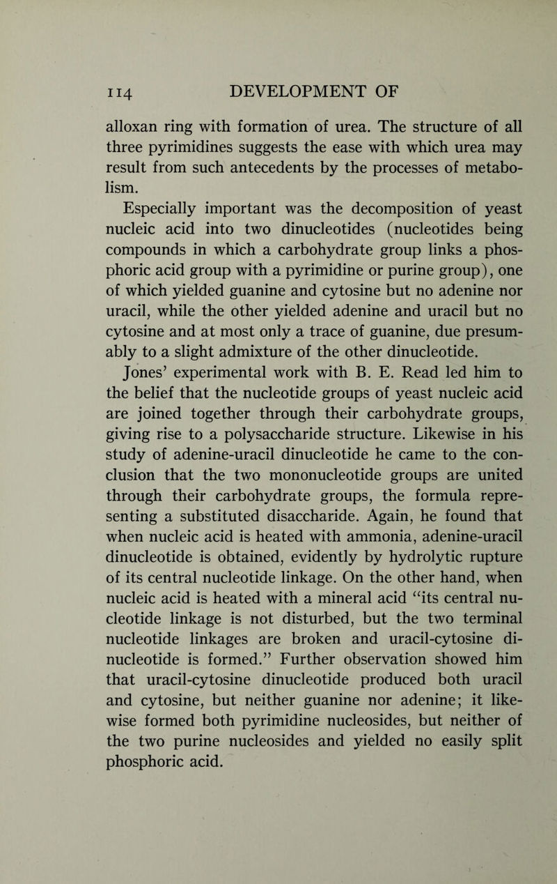 alloxan ring with formation of urea. The structure of all three pyrimidines suggests the ease with which urea may result from such antecedents by the processes of metabo- lism. Especially important was the decomposition of yeast nucleic acid into two dinucleotides (nucleotides being compounds in which a carbohydrate group links a phos- phoric acid group with a pyrimidine or purine group), one of which yielded guanine and cytosine but no adenine nor uracil, while the other yielded adenine and uracil but no cytosine and at most only a trace of guanine, due presum- ably to a slight admixture of the other dinucleotide. Jones’ experimental work with B. E. Read led him to the belief that the nucleotide groups of yeast nucleic acid are joined together through their carbohydrate groups, giving rise to a polysaccharide structure. Likewise in his study of adenine-uracil dinucleotide he came to the con- clusion that the two mononucleotide groups are united through their carbohydrate groups, the formula repre- senting a substituted disaccharide. Again, he found that when nucleic acid is heated with ammonia, adenine-uracil dinucleotide is obtained, evidently by hydrolytic rupture of its central nucleotide linkage. On the other hand, when nucleic acid is heated with a mineral acid “its central nu- cleotide linkage is not disturbed, but the two terminal nucleotide linkages are broken and uracil-cytosine di- nucleotide is formed.” Further observation showed him that uracil-cytosine dinucleotide produced both uracil and cytosine, but neither guanine nor adenine; it like- wise formed both pyrimidine nucleosides, but neither of the two purine nucleosides and yielded no easily split phosphoric acid.