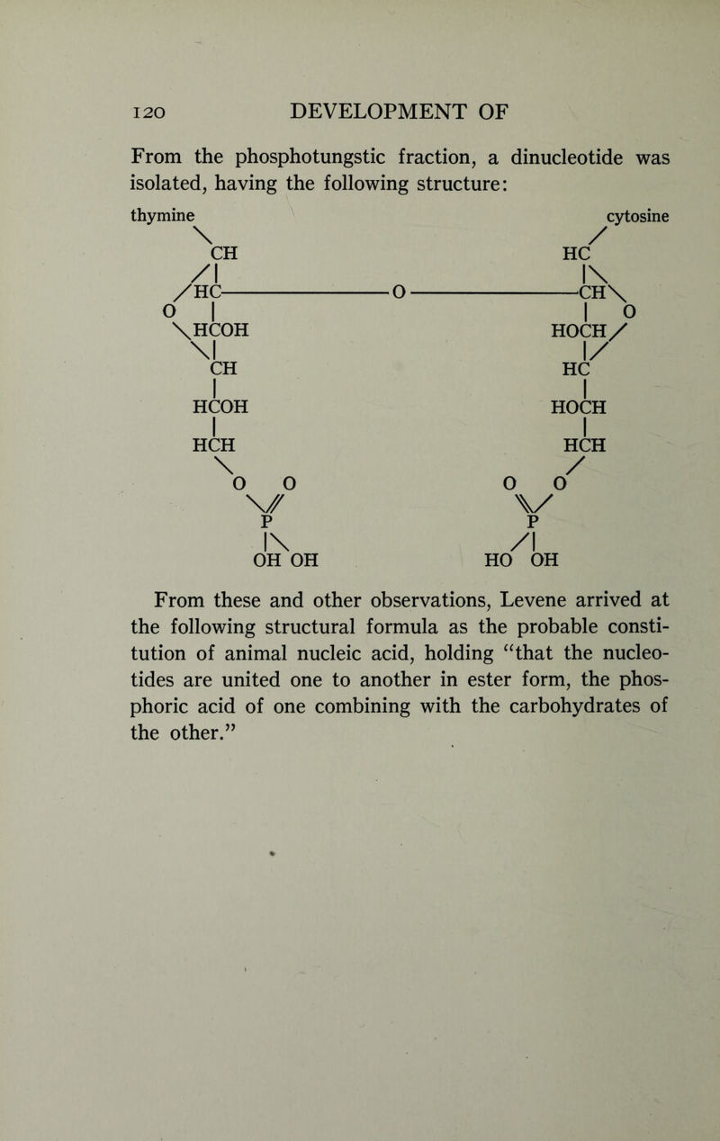From the phosphotungstic fraction, a dinucleotide was isolated, having the following structure: thymine \ CH /I /HC— O | o \HCOH \l CH I HCOH I HCH \ o o \/ p l\ OH OH cytosine / HC l\ CH\ I o HOCH/ 1/ HC HOCH I HCH / o o \/ p /I HO OH From these and other observations, Levene arrived at the following structural formula as the probable consti- tution of animal nucleic acid, holding “that the nucleo- tides are united one to another in ester form, the phos- phoric acid of one combining with the carbohydrates of the other.”