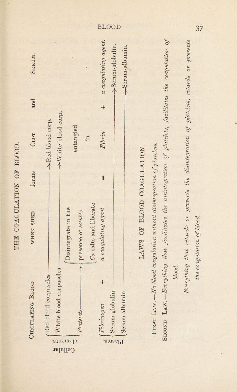 THE COAGULATION OF BLOOD. BLOOD D f4 cn T3 Cl P H d o CO o 54H Q H W !» & a £ o o PI M £ w i4 o M o Ph u o o 'PJ o o 3 CO © 3 oo P Pi u o o tS o o & Cl o o P3 o o CD -C ^ rP & ^ © U p3 £ h3 CD 3d p P +-> p © © © h^> Ip c bo © p m m CD F -I o m P s-» o o rT3 o o <D •4-^ CD ^■>0> rO •v <>> P'-o o Co <D O P 0) m CD u Pm A co vo> cd <D *vo> 8 •s^uouiop © -4-> P © r©> P P P CO SO 8 CP 8 Pi cS> P» • <s> *Vi 8 Pi e o © + 8 * oi rS <D CP e 5p> rO * <S> VO> s >^o a cp 8 o © + p pc o a p pc M p p p © cn a p u © m A •'B1HS'B{C[ £ H <1 A P O <1 o o Q O O kJ W O m £ <1 co vo CD '-■v. <D •so 8 r*-o *S 0s •Vi 8 $v Qj ■Vi S£ • <s> Co * <s> 8 <s> O >< •vi • cV> £$ cv 8 o • <S> SO p Pi s Pi 8 § *8 o o f^O) rO £ £ M EH w fi [3 37 Second Law. Everything that facilitates the disintegration of 'platelets, facilitates the coagulation of blood. Everything that retards or prevents the disintegration of platelets, retards or prevents the coagidation of blood.