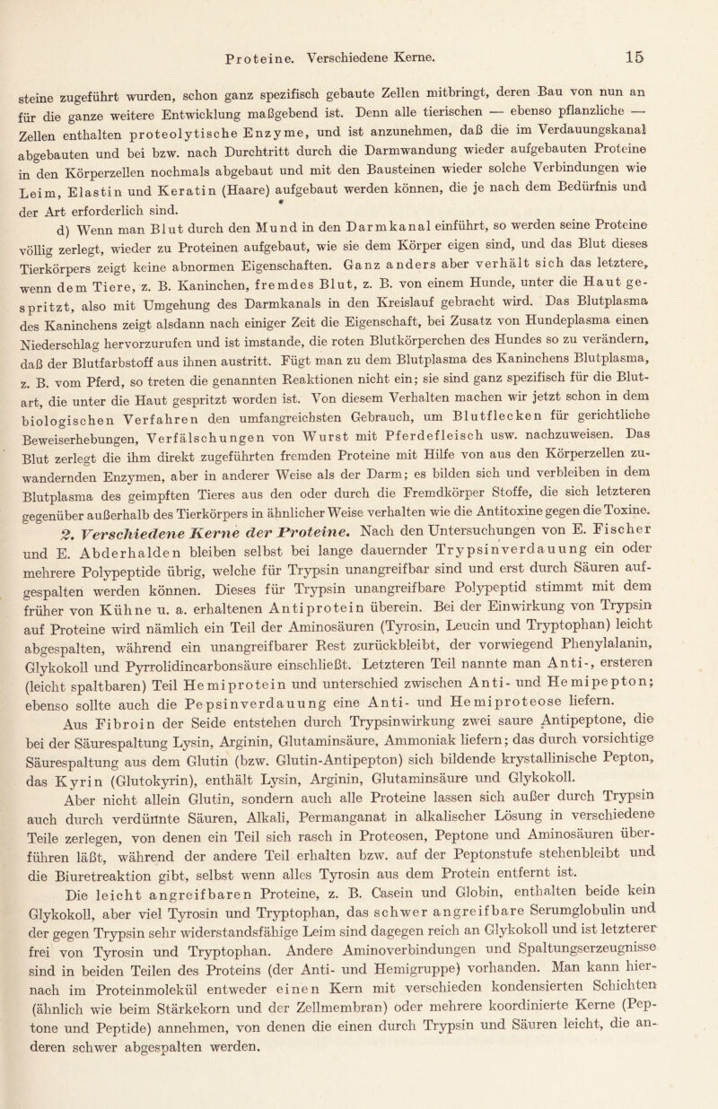 steine zugeführt wurden, schon ganz spezifisch gebaute Zellen mitbringt, deren Bau von nun an für die ganze weitere Entwicklung maßgebend ist. Denn alle tierischen — ebenso pflanzliche — Zellen enthalten proteolytische Enzyme, und ist anzunehmen, daß die im Verdauungskanal abgebauten und bei bzw. nach Durchtritt durch die Darmwandung wieder aufgebauten Proteine in den Körperzellen nochmals abgebaut und mit den Bausteinen wieder solche Verbindungen wie Leim, Elastin und Keratin (Haare) aufgebaut werden können, die je nach dem Bedürfnis und der Art erforderlich sind. d) Wenn man Blut durch den Mund in den Darmkanal einführt, so werden seine Protein© völlig zerlegt, wieder zu Proteinen aufgebaut, wie sie dem Körper eigen sind, und das Blut dieses Tierkörpers zeigt keine abnormen Eigenschaften. Ganz anders aber verhält sich das letztere,, wenn dem Tiere, z. B. Kaninchen, fremdes Blut, z. B. von einem Hunde, unter die Haut ge- spritzt, also mit Umgehung des Darmkanals in den Kreislauf gebracht wird. Das Blutplasma des Kaninchens zeigt alsdann nach einiger Zeit die Eigenschaft, bei Zusatz \on Hundeplasma einen Niederschlag hervorzurufen und ist imstande, die roten Blutkörperchen des Pfundes so zu verändern, daß der Blutfarbstoff aus ihnen austritt. Fügt man zu dem Blutplasma des Kaninchens Blutplasma, z. B. vom Pferd, so treten die genannten Reaktionen nicht ein; sie sind ganz spezifisch für die Blut- art, die unter die Flaut gespritzt worden ist. Von diesem Verhalten machen wir jetzt schon in dem biologischen Verfahren den umfangreichsten Gebrauch, um Blutflecken für gerichtliche Beweiserhebungen, Verfälschungen von Wurst mit Pferdefleisch usw. nachzuweisen. Das Blut zerlegt die ihm direkt zugeführten fremden Proteine mit Hilfe von aus den Körperzellen zu- wandernden Enzymen, aber in anderer Weise als der Darm; es bilden sich und verbleiben in dem Blutplasma des geimpften Tieres aus den oder durch die Fremdkörper Stoffe, die sich letzteren gegenüber außerhalb des Tierkörpers in ähnlicherWeise verhalten wie die Antitoxine gegen die Toxine. tg' PV vs c h i € de 12 €. ./i a m c clcv JE*Totßifiß» Nach den Untersuchungen von E. Fischer und E. Abderhalden bleiben selbst bei lange dauernder Trypsinverdauung ein oder mehrere Polypeptide übrig, welche für Trypsin unangreifbar sind und erst durch Säuren auf- gespalten werden können. Dieses für Trypsin unangreifbare Polypeptid stimmt mit dem früher von Kühne u. a. erhaltenen Antiprotein überein. Bei der Einwirkung von Trypsin auf Proteine wird nämlich ein Teil der Aminosäuren (Tyrosin, Leucin und Tryptophan) leicht abgespalten, während ein unangreifbarer Rest zurückbleibt, der vorwiegend Phenylalanin, Glykokoll und Pyrrolidincarbonsäure einschließt. Letzteren Teil nannte man Anti-, ersteren (leicht spaltbaren) Teil Hemiprotein und unterschied zwischen Anti- und Hemipepton; ebenso sollte auch die Pepsinverdauung eine Anti- und Hemiproteose liefern. Aus Fibroin der Seide entstehen durch Trypsin Wirkung zwei saure Antipeptone, die bei der Säurespaltung Lysin, Arginin, Glutaminsäure, Ammoniak liefern; das durch vorsichtige Säurespaltung aus dem Glutin (bzw. Glutin-Antipepton) sich bildende krystallinische Pepton, das Kyrin (Glutokyrin), enthält Lysin, Arginin, Glutaminsäure und Glykokoll. Aber nicht allein Glutin, sondern auch alle Proteine lassen sich außer durch Trypsin auch durch verdünnte Säuren, Alkali, Permanganat in alkalischer Lösung in verschiedene Teile zerlegen, von denen ein Teil sich rasch in Proteosen, Peptone und Aminosäuren über- führen läßt, während der andere Teil erhalten bzw. auf der Peptonstufe stehenbleibt und die Biuretreaktion gibt, selbst wenn alles Tyrosin aus dem Protein entfernt ist. Die leicht angreifbaren Proteine, z. B. Casein und Globin, enthalten beide kein Glykokoll, aber viel Tyrosin und Tryptophan, das schwer angreifbare Serumglobulin und der gegen Trypsin sehr widerstandsfähige Leim sind dagegen reich an Glykokoll und ist letzteier frei von Tyrosin und Tryptophan. Andere Aminoverbindungen und Spaltungserzeugnisse sind in beiden Teilen des Proteins (der Anti- und Hemigruppe) vorhanden. Man kann hier- nach im Proteinmolekül entweder einen Kern mit verschieden kondensierten Schichten (ähnlich wie beim Stärkekorn und der Zellmembran) oder mehrere koordinierte Kerne (Pep- tone und Peptide) annehmen, von denen die einen durch Trypsin und Säuren leicht, die an- deren schwer abgespalten werden.