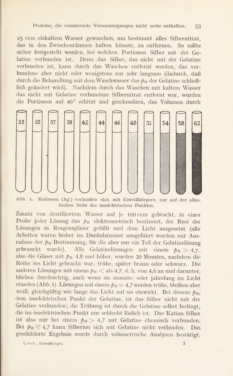 25 ccm eiskaltem Wasser gewaschen, um bestimmt alles Silbernitrat, das in den Zwischenräumen haften könnte, zu entfernen. So sollte sicher festgestellt werden, bei welchen Portionen Silber mit der Ge- latine verbunden ist. Denn das Silber, das nicht mit der Gelatine verbunden ist, kann durch das Waschen entfernt werden, das ver- bundene aber nicht oder wenigstens nur sehr langsam (dadurch, daß durch die Behandlung mit dem Waschwasser das pK der Gelatine schließ- lich geändert wird). Nachdem durch das Waschen mit kaltem Wasser das nicht mit Gelatine verbundene Silbernitrat entfernt war, wurden die Portionen auf 40° erhitzt und geschmolzen, das Volumen durch 3.3 3.5 KJ Abb. 1 3.7 3.9 4.2 4.4 4.6 4.8 5.1 KJ 5.4 KJ 6.2 Kationen (Ag ) verbinden sich mit Eiweißkörpern nur auf der alka- lischen Seite des isoelektrischen Punktes. Zusatz von destilliertem Wasser auf je 100 ccm gebracht, in einer Probe jeder Lösung das pH elektrometrisch bestimmt, der Rest der Lösungen in Reagensgläser gefüllt und dem Licht ausgesetzt (alle Arbeiten waren bisher im Dunkelzimmer ausgeführt worden mit Aus- nahme der p-n Bestimmung, für die aber nur ein Teil der Gelatinelösung gebraucht wurde). Alle Gelatinelösungen mit einem pK > 4,7, also die Gläser mit pu 4,8 und höher, wurden 20 Minuten, nachdem die Reihe ins Licht gebracht war, trübe, später braun oder schwarz. Die anderen Lösungen mit einem pu <C als 4,7, d. h. von 4,6 an und darunter, blieben durchsichtig, auch wenn sie monate- oder jahrelang im Licht standen (Abb. 1). Lösungen mit einem pa = 4,7 werden trübe, bleiben aber weiß, gleichgültig wie lange das Licht auf sie einwirkt. Bei diesem pK, dem isoelektrischen Punkt der Gelatine, ist das Silber nicht mit der Gelatine verbunden; die Trübung ist durch die Gelatine selbst bedingt, die im isoelektrischen Punkt nur schlecht löslich ist. Das Kation Silber ist also nur bei einem puJ 4,7 mit Gelatine chemisch verbunden. Bei ^ 4,7 kann Silberion sich mit Gelatine nicht verbinden. Das geschilderte Ergebnis wurde durch volumetrische Analysen bestätigt. L o e b , Eiweißkörper. 3