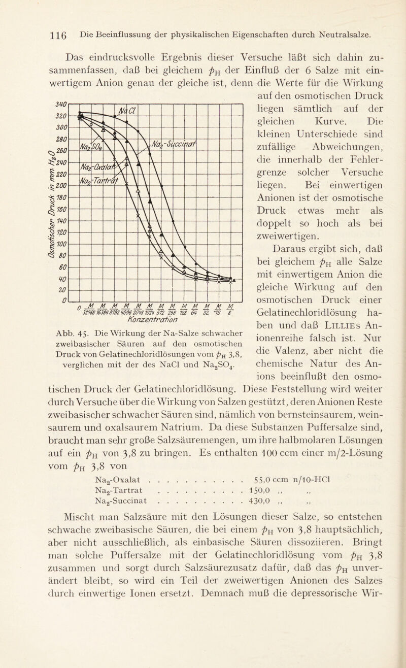 Das eindrucksvolle Ergebnis dieser Versuche läßt sich dahin zu- sammenfassen, daß bei gleichem der Einfluß der 6 Salze mit ein- wertigem Anion genau der gleiche ist, denn die Werte für die Wirkung auf den osmotischen Druck liegen sämtlich auf der gleichen Kurve. Die kleinen Unterschiede sind zufällige Abweichungen, die innerhalb der Fehler- grenze solcher Versuche liegen. Bei einwertigen Anionen ist der osmotische Druck etwas mehr als doppelt so hoch als bei zweiwertigen. Daraus ergibt sich, daß bei gleichem pK alle Salze mit einwertigem Anion die gleiche Wirkung auf den osmotischen Druck einer Gelatinechloridlösung ha- ben und daß Lillies An- ionenreihe falsch ist. Nur die Valenz, aber nicht die chemische Natur des An- ions beeinflußt den osmo- tischen Druck der Gelatinechloridlösung. Diese Feststellung wird weiter durch Versuche über die Wirkung von Salzen gestützt, deren Anionen Reste zweibasischer schwacher Säuren sind, nämlich von bernsteinsaurem, wein- saurem und oxalsaurem Natrium. Da diese Substanzen Puffersalze sind, braucht man sehr große Salzsäuremengen, um ihre halbmolaren Lösungen auf ein von 3,8 zu bringen. Es enthalten 100 ccm einer m/2-Lösung vom pK 3,8 von Na2-Oxalat 55,0 ccm n/10-HCl Na2-Tartrat 150,0 ,, Na2-Succinat 430,0 ,, Mischt man Salzsäure mit den Lösungen dieser Salze, so entstehen schwache zweibasische Säuren, die bei einem von 3,8 hauptsächlich, aber nicht ausschließlich, als einbasische Säuren dissoziieren. Bringt man solche Puffersalze mit der Gelatinechloridlösung vom 3,8 zusammen und sorgt durch Salzsäurezusatz dafür, daß das unver- ändert bleibt, so wird ein Teil der zweiwertigen Anionen des Salzes durch einwertige Ionen ersetzt. Demnach muß die depressorische Wir- 32768163848192 409620481024 512 256 128 64 32 96 8 Konzentrat,io n Abb. 45- Die Wirkung derNa-Salze schwacher zweibasischer Säuren auf den osmotischen Druck von Gelatinechloridlösungen vom pR 3,8, verglichen mit der des NaCl und Na2S04.