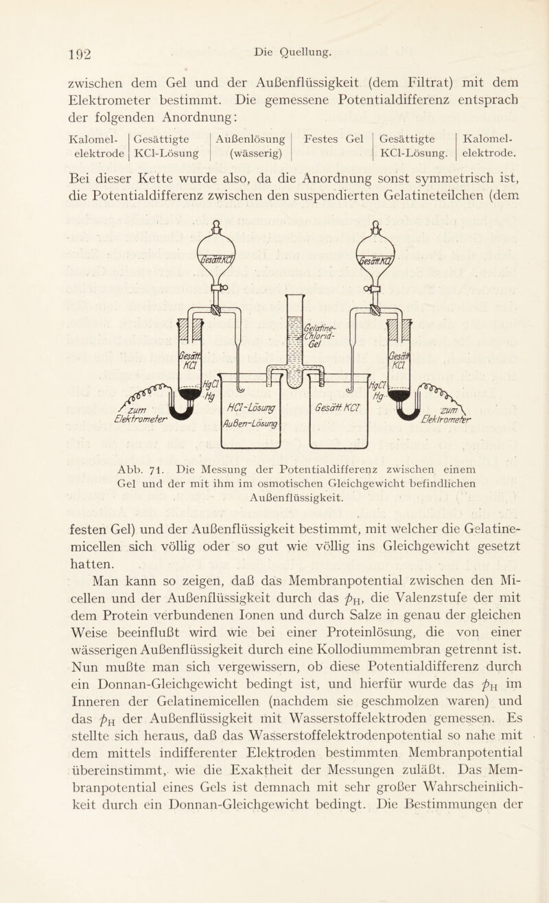 zwischen dem Gel und der Außenflüssigkeit (dem Filtrat) mit dem Elektrometer bestimmt. Die gemessene Potentialdifferenz entsprach der folgenden Anordnung: Kalomel- Gesättigte Außenlösung Festes Gel Gesättigte elektrode KCl-Lösung (wässerig) ■ KCl-Lösung. Kalomel- elektrode. Bei dieser Kette wurde also, da die Anordnung sonst symmetrisch ist, die Potentialdifferenz zwischen den suspendierten Gelatineteilchen (dem Abb. 71. Die Messung der Potentialdifferenz zwischen einem Gel und der mit ihm im osmotischen Gleichgewicht befindlichen Außenflüssigkeit. festen Gel) und der Außenflüssigkeit bestimmt, mit welcher die Gelatine- micellen sich völlig oder so gut wie völlig ins Gleichgewicht gesetzt hatten. Man kann so zeigen, daß das Membranpotential zwischen den Mi- cellen und der Außenflüssigkeit durch das ftH, die Valenzstufe der mit dem Protein verbundenen Ionen und durch Salze in genau der gleichen Weise beeinflußt wird wie bei einer Proteinlösung, die von einer wässerigen Außenflüssigkeit durch eine Kollodiummembran getrennt ist. Nun mußte man sich vergewissern, ob diese Potentialdifferenz durch ein Donnan-Gleichgewicht bedingt ist, und hierfür wurde das j)n im Inneren der Gelatinemicellen (nachdem sie geschmolzen waren) und das />H der Außenflüssigkeit mit Wasserstoffelektroden gemessen. Es stellte sich heraus, daß das Wasserstoff elektrodenpotential so nahe mit dem mittels indifferenter Elektroden bestimmten Membranpotential übereinstimmt, wie die Exaktheit der Messungen zuläßt. Das Mem- branpotential eines Gels ist demnach mit sehr großer Wahrscheinlich- keit durch ein Donnan-Gleichgewicht bedingt. Die Bestimmungen der