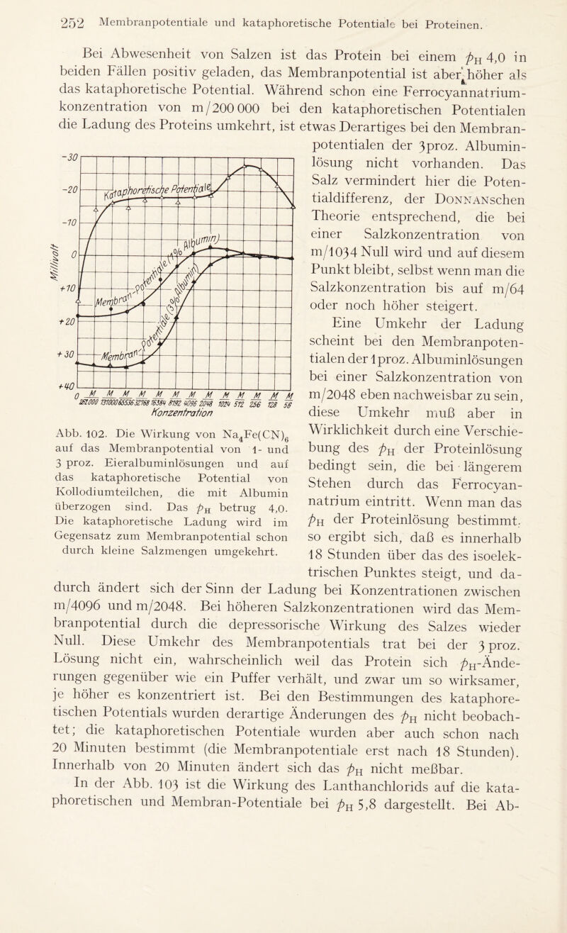 Bei Abwesenheit von Salzen ist das Protein bei einem pH 4,0 in beiden Fällen positiv geladen, das Membranpotential ist aber höher als das kataphoretische Potential. Während schon eine Ferrocyannatrium- konzentration von m/200 000 bei den kataphoretischen Potentialen die Ladung des Proteins umkehrt, ist etwas Derartiges bei den Membran- potentialen der 3proz. Albumin- lösung nicht vorhanden. Das Salz vermindert hier die Poten- tialdifferenz, der DoNNANschen Theorie entsprechend, die bei einer Salzkonzentration von m/1034 Null wird und auf diesem Punkt bleibt, selbst wenn man die Salzkonzentration bis auf m/64 oder noch höher steigert. Eine Umkehr der Ladung scheint bei den Membranpoten- tialen der lproz. Albuminlösungen bei einer Salzkonzentration von m/2048 eben nachweisbar zu sein, diese Umkehr muß aber in Wirklichkeit durch eine Verschie- bung des pK der Proteinlösung bedingt sein, die bei längerem Stehen durch das Ferrocyan- natrium eintritt. Wenn man das pH der Proteinlösung bestimmt; so ergibt sich, daß es innerhalb 18 Stunden über das des isoelek- trischen Punktes steigt, und da- durch ändert sich der Sinn der Ladung bei Konzentrationen zwischen m/4096 und m/2048. Bei höheren Salzkonzentrationen wird das Mem- branpotential durch die depressorische Wirkung des Salzes wieder Null. Diese Umkehr des Membranpotentials trat bei der 3 proz. Lösung nicht ein, wahrscheinlich weil das Protein sich /^-Ände- rungen gegenüber wie ein Puffer verhält, und zwar um so wirksamer, je höher es konzentriert ist. Bei den Bestimmungen des kataphore- tischen Potentials wurden derartige Änderungen des nicht beobach- tet; die kataphoretischen Potentiale wurden aber auch schon nach 20 Minuten bestimmt (die Membranpotentiale erst nach 18 Stunden). Innerhalb von 20 Minuten ändert sich das pn nicht meßbar. In der Abb. 103 ist die Wirkung des Lanthanchlorids auf die kata- phoretischen und Membran-Potentiale bei pu 5,8 dargestellt. Bei Ab- Abb. 102. Die Wirkung von Na4Fe(CN)6 auf das Membranpotential von 1- und 3 proz. Eieralbuminlösungen und auf das kataphoretische Potential von Kollodiumteilchen, die mit Albumin überzogen sind. Das pn betrug 4,0. Die kataphoretische Ladung wird im Gegensatz zum Membranpotential schon durch kleine Salzmengen umgekehrt.