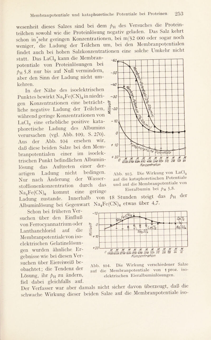 Wesenheit dieses Salzes sind bei dem pH des Versuches die Protein- teilchen sowohl wie die Proteinlösung negativ geladen. Das Salz kehrt schon in sehr geringen Konzentrationen, bei m/32 000 oder sogar noch weniger, die Ladung der Teilchen um, bei den Membranpotentialen findet auch bei hohen Salzkonzentrationen eine solche Umkehr nicht statt. Das LaCl3 kann die Membran- potentiale von Proteinlösungen bei pK 5,8 nur bis auf Null vermindern, aber den Sinn der Ladung nicht um- kehren. In der Nähe des isoelektrischen Punktes bewirkt Na4Fe(CN)6in niedri- gen Konzentrationen eine beträcht- liche negative Ladung der Teilchen, während geringe Konzentrationen von LaCl3 eine erhebliche positive kata- phoretische Ladung des Albumins verursachen (vgl. Abb. 109, S. 270). Aus der Abb. 104 ersehen wir, daß diese beiden Salze bei den Mem- branpotentialen einer im isoelek- trischen Punkt befindlichen Albumin- lösung das Auftreten einer der- artigen Ladung nicht bedingen. Nur nach Änderung der Wasser- stoffionenkonzentration durch das Abb. 103- Die Wirkung von LaCl3 auf die kataphoretischen Potentiale und auf die Membranpotentiale von Eieralbumin bei pn 5,8. 18 Stunden steigt das pu der Na4Fe(CN)6 kommt eine geringe Ladung zustande. Innerhalb von Albuminlösung bei Gegenwart Na4Fe(CN)6 etwas über 4,7. § -10 0 + 10 +20 L(CH)ej J V * H—4 iaU, x^- < t l j k A Na? SO* XzSL Vf Vf tf M M / V / Vf / Vf Schon bei früheren Ver- suchen über den Einfluß von Ferrocyannatrium oder Lanthanchlorid auf die Membranpotentiale von iso- elektrischen Gelatinelösun- gen wurden ähnliche Er- gebnisse wie bei diesen Ver- suchen über Eiereiweiß be- obachtet; die Tendenz der Lösung, ihr pn zu ändern, fiel dabei gleichfalls auf. Der Verfasser war aber damals nicht sicher davon überzeugt, daß die schwache Wirkung dieser beiden Salze auf die Membranpotentiale iso- /vj /v /v /v n i'i ■■ — ——- 0 imÖÖ6553632768 7638t 8192 W96 2068 1026 572 256 728 66 32 Konzentration Abb. 104- Die Wirkung verschiedener Salze auf die Membranpotentiale von 1 proz. iso- elektrischen Eieralbuminlösungen.