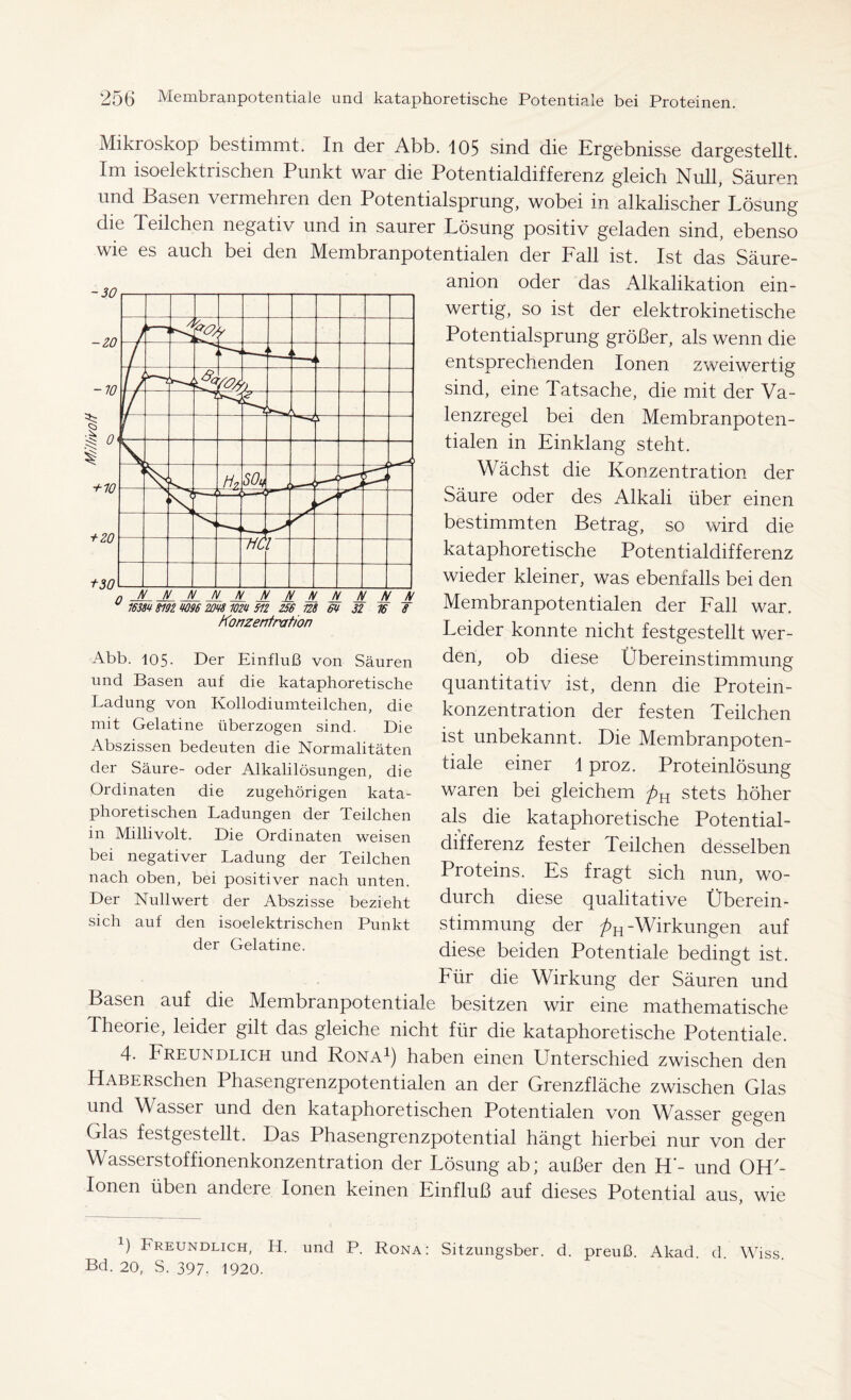 Mikroskop bestimmt. In der Abb. 105 sind die Ergebnisse dargestellt. Im isoelektrischen Punkt war die Potentialdifferenz gleich Null, Säuren und Basen vermehren den Potentialsprung, wobei in alkalischer Lösung die Teilchen negativ und in saurer Lösung positiv geladen sind, ebenso wie es auch bei den Membranpotentialen der Fall ist. Ist das Säure- anion oder das Alkalikation ein- wertig, so ist der elektrokinetische Potentialsprung größer, als wenn die entsprechenden Ionen zweiwertig sind, eine Tatsache, die mit der Va- lenzregel bei den Membranpoten- tialen in Einklang steht. Wächst die Konzentration der Säure oder des Alkali über einen bestimmten Betrag, so wird die kataphoretische Potentialdifferenz wieder kleiner, was ebenfalls bei den Membranpotentialen der Fall war. Leider konnte nicht festgestellt wer- den, ob diese Übereinstimmung quantitativ ist, denn die Protein- konzentration der festen Teilchen ist unbekannt. Die Membranpoten- tiale einer 1 proz. Proteinlösung waren bei gleichem stets höher als die kataphoretische Potential- differenz fester Teilchen desselben Proteins. Es fragt sich nun, wo- durch diese qualitative Überein- stimmung der ^>H-Wirkungen auf diese beiden Potentiale bedingt ist. Für die Wirkung der Säuren und Basen auf die Membranpotentiale besitzen wir eine mathematische Theorie, leider gilt das gleiche nicht für die kataphoretische Potentiale. 4. Freundlich und Rona1) haben einen Unterschied zwischen den HABERschen Phasengrenzpotentialen an der Grenzfläche zwischen Glas und Wasser und den kataphoretischen Potentialen von Wasser gegen Glas festgestellt. Das Phasengrenzpotential hängt hierbei nur von der Wasserstoffionenkonzentration der Lösung ab; außer den IT- und OH'- lonen üben andere Ionen keinen Einfluß auf dieses Potential aus, wie Abb. 105- Der Einfluß von Säuren und Basen auf die kataphoretische Ladung von Kollodiumteilchen, die mit Gelatine überzogen sind. Die Abszissen bedeuten die Normalitäten der Säure- oder Alkalilösungen, die Ordinaten die zugehörigen kata- phoretischen Ladungen der Teilchen in Millivolt. Die Ordinaten weisen bei negativer Ladung der Teilchen nach oben, bei positiver nach unten. Der Nullwert der Abszisse bezieht sich auf den isoelektrischen Punkt der Gelatine. ß Ereundlich, H. und P. Rona: Sitzungsber. d. preuß. Akad. d. Wiss Bd. 20, S. 397. 1920.