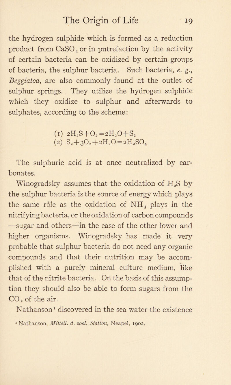 the hydrogen sulphide which is formed as a reduction product from CaS04 or in putrefaction by the activity of certain bacteria can be oxidized by certain groups of bacteria, the sulphur bacteria. Such bacteria, e. g., Beggiatoa, are also commonly found at the outlet of sulphur springs. They utilize the hydrogen sulphide which they oxidize to sulphur and afterwards to sulphates, according to the scheme: (1) 2H2S+02=2H20+S2 (2) S2 + 302 + 2H20 = 2H2S04 The sulphuric acid is at once neutralized by car- bonates. Winogradsky assumes that the oxidation of H2S by the sulphur bacteria is the source of energy which plays the same role as the oxidation of NH3 plays in the nitrifying bacteria, or the oxidation of carbon compounds -—sugar and others—in the case of the other lower and higher organisms. Winogradsky has made it very probable that sulphur bacteria do not need any organic compounds and that their nutrition may be accom- ► plished with a purely mineral culture medium, like that of the nitrite bacteria. On the basis of this assump- tion they should also be able to form sugars from the CO 2 of the air. Nathanson1 discovered in the sea water the existence 1 Nathanson, Mitteil. d. zool. Station, Neapel, 1902.