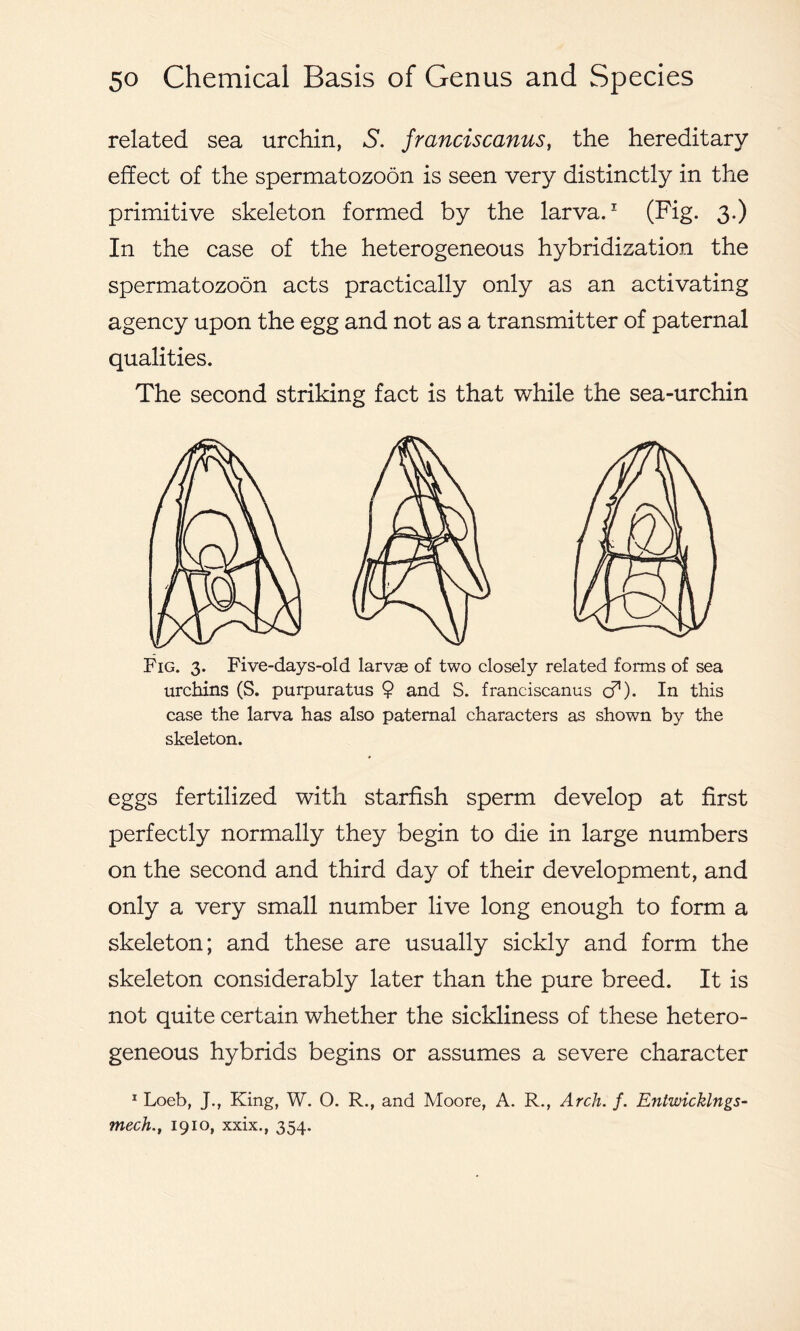 related sea urchin, S. franciscanus, the hereditary effect of the spermatozoon is seen very distinctly in the primitive skeleton formed by the larva.1 (Fig. 3-) In the case of the heterogeneous hybridization the spermatozoon acts practically only as an activating agency upon the egg and not as a transmitter of paternal qualities. The second striking fact is that while the sea-urchin Fig. 3. Five-days-old larvae of two closely related forms of sea urchins (S. purpuratus $ and S. franciscanus b1). In this case the larva has also paternal characters as shown by the skeleton. eggs fertilized with starfish sperm develop at first perfectly normally they begin to die in large numbers on the second and third day of their development, and only a very small number live long enough to form a skeleton; and these are usually sickly and form the skeleton considerably later than the pure breed. It is not quite certain whether the sickliness of these hetero- geneous hybrids begins or assumes a severe character 1 Loeb, J., King, W. O. R., and Moore, A. R., Arch. f. Entwicklngs- mech1910, xxix., 354.