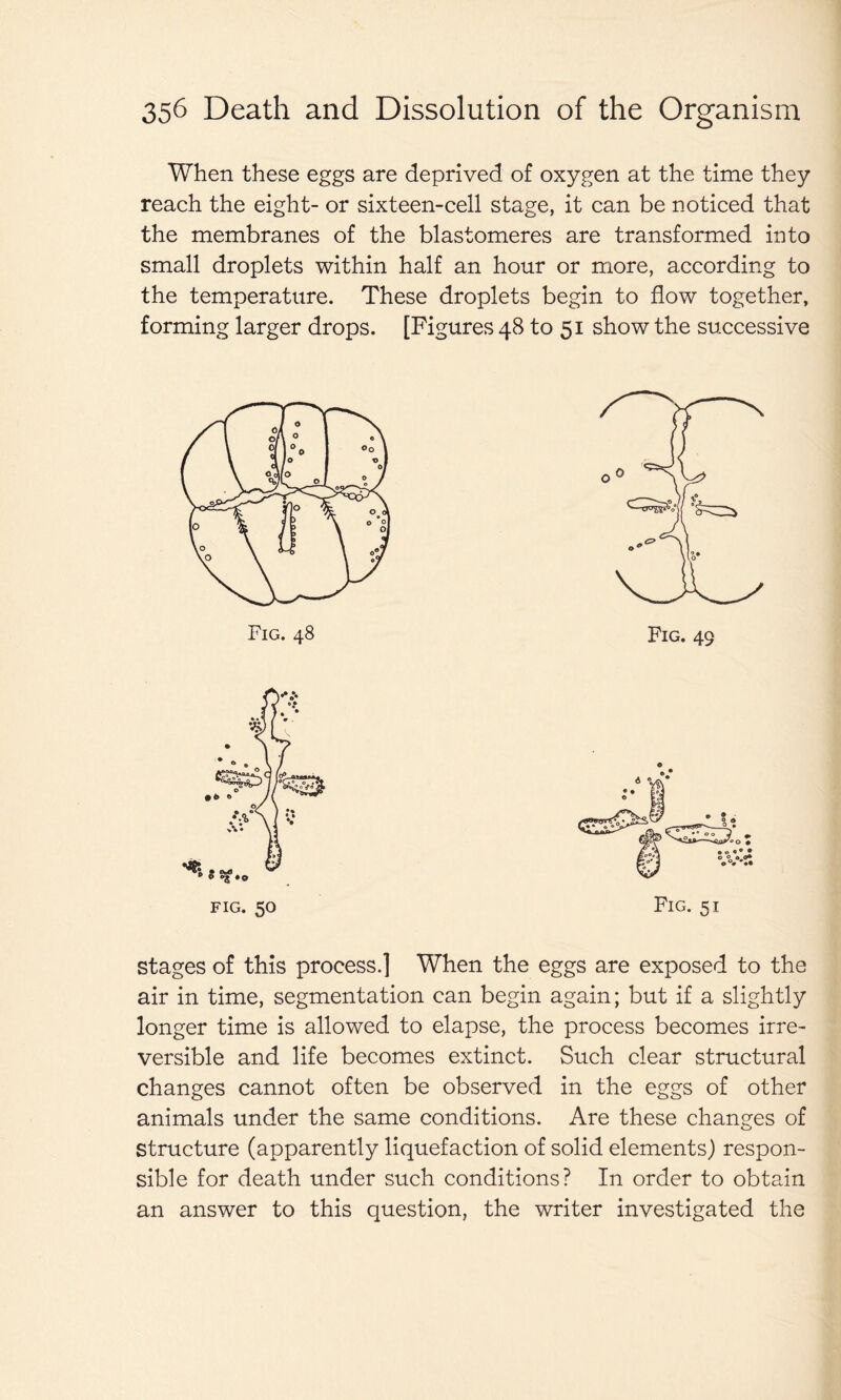 When these eggs are deprived of oxygen at the time they reach the eight- or sixteen-cell stage, it can be noticed that the membranes of the blastomeres are transformed into small droplets within half an hour or more, according to the temperature. These droplets begin to flow together, forming larger drops. [Figures 48 to 51 show the successive fig. 50 Fig. 51 stages of this process.] When the eggs are exposed to the air in time, segmentation can begin again; but if a slightly longer time is allowed to elapse, the process becomes irre- versible and life becomes extinct. Such clear structural changes cannot often be observed in the eggs of other animals under the same conditions. Are these changes of structure (apparently liquefaction of solid elements) respon- sible for death under such conditions? In order to obtain an answer to this question, the writer investigated the