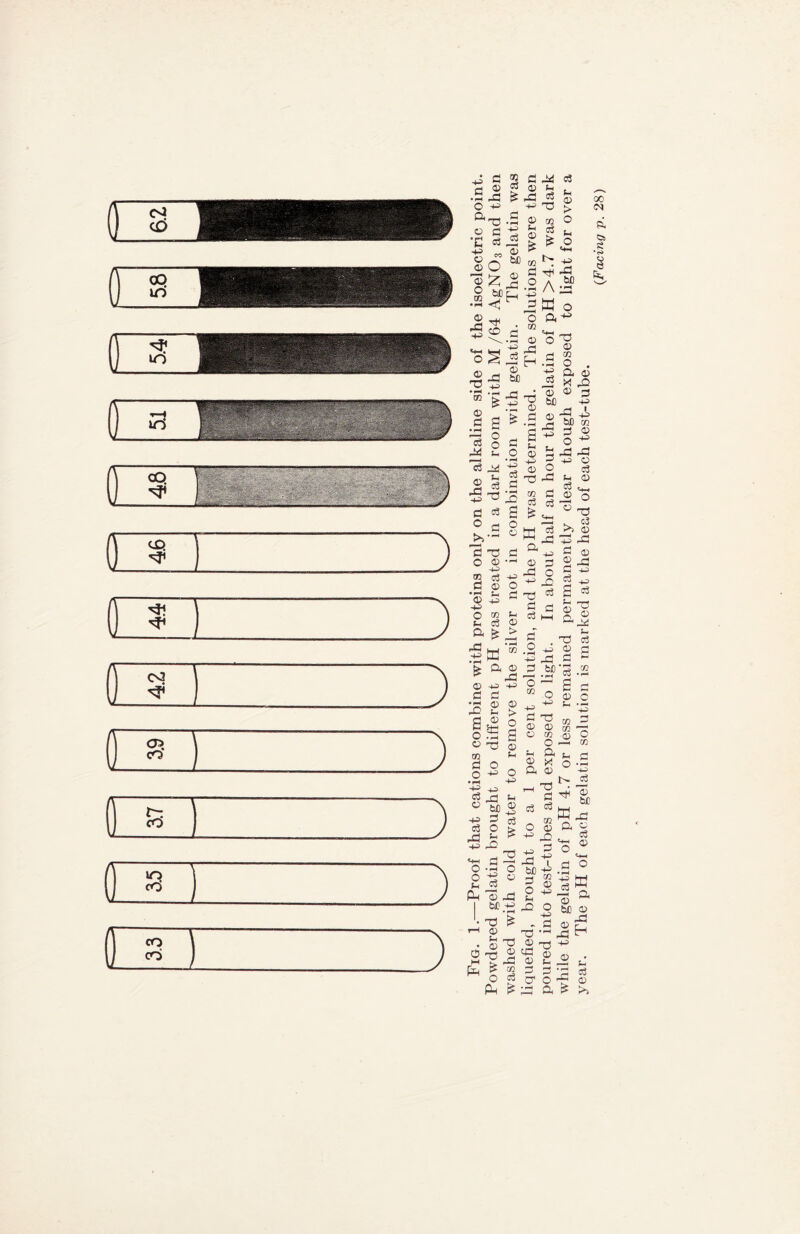 4-5 & •pH p© O +-> aT3 O C *C 03 © O 'S £ § w> © _h o§ © go a C<3 Q) f£ p£ 4H .2 © -H> © o3 © © ^ bC 02 © S ft .2 'o a m •A © -H> ft -2 H © ft c3 ft co c3 & o3 s- © > O S-i o 2 ^ •J- --H ro ^ § a 7* ° | 2 ^ ft -V A-H 1-0 a cs p>> — 5 ft o © p^> ® a fl © •pH 0 4ft 4ft O Ah c<3 a * 5 M • pH £ ft © H-= C £ 5 © ft s- S© ft o ft © ft 00 fl O O ^ •pH 4ft g ft ° b£ c3 O ft *- £ ft «« a O -pH O ^ Ah © I bJP • ft H Ah : 0 O ft m S Ah ^ ^ O Pa ft bJO *> ft -ft A ft W o ft ^ o3 ■5 'ft ft © £ .5 =3 § o © a3 © ft «3 -2 c3 S £ . ® w' c a' © ^ ft o ^ ■ C ft £ ® .2 © 3 ft 75 -U o CO . ft -u © ft =3 .srs u c3 ff PH C/2 0 Ah O 4ft 4-5 £ 0 o 0 P, Ah 5 =3 c3 O 4ft 25 © b£) » 3 O ft © ft ft ft ft © I © ft ft © co a a o< 00 iN d, Cm 8 *<S» O C3 &.