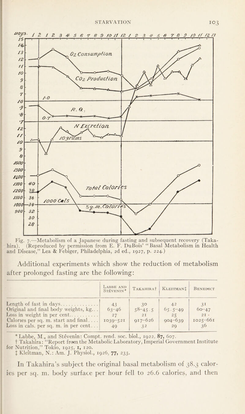 vays. J £ / 2 34567 89 fOJi/Z/ 2 3 4 5 6 7 8 9 /0 // /Z *3 Fig. 7.—Metabolism of a Japanese during fasting and subsequent recovery (Taka- hira). (Reproduced by permission from E. F. DuBois’ “Basal Metabolism in Health and Disease,” Lea & Febiger, Philadelphia, 2d ed., 1927, p. 224.) Additional experiments which show the reduction of metabolism after prolonged fasting are the following: Labbe and Stevenin* Takahira! KleitmanJ Benedict Length of fast in days 43 63-46 27 io39~521 49 30 58-45•5 21 917-626 32 42 65•5-49 25 904-639 29 31 60-47 21 ♦ 1025-661 36 Original and final body weights, kg.. . Loss in weight in per cent Calories per sq. m. start and final. . . . Loss in cals, per sq. m. in per cent. . . * Labbe, M„ and Stevenin: Compt. rend. soc. biol., 1922, 87, 607. f Takahira: “Report from the Metabolic Laboratory, Imperial Government Institute for Nutrition,” Tokio, 1925, 1, 120. f Kleitman, N.: Am. J. Physiol., 1926, 77, 233. In Takahira’s subject the original basal metabolism of 38.3 calor- ies per scp m. body surface per hour fell to 26.6 calories, and then