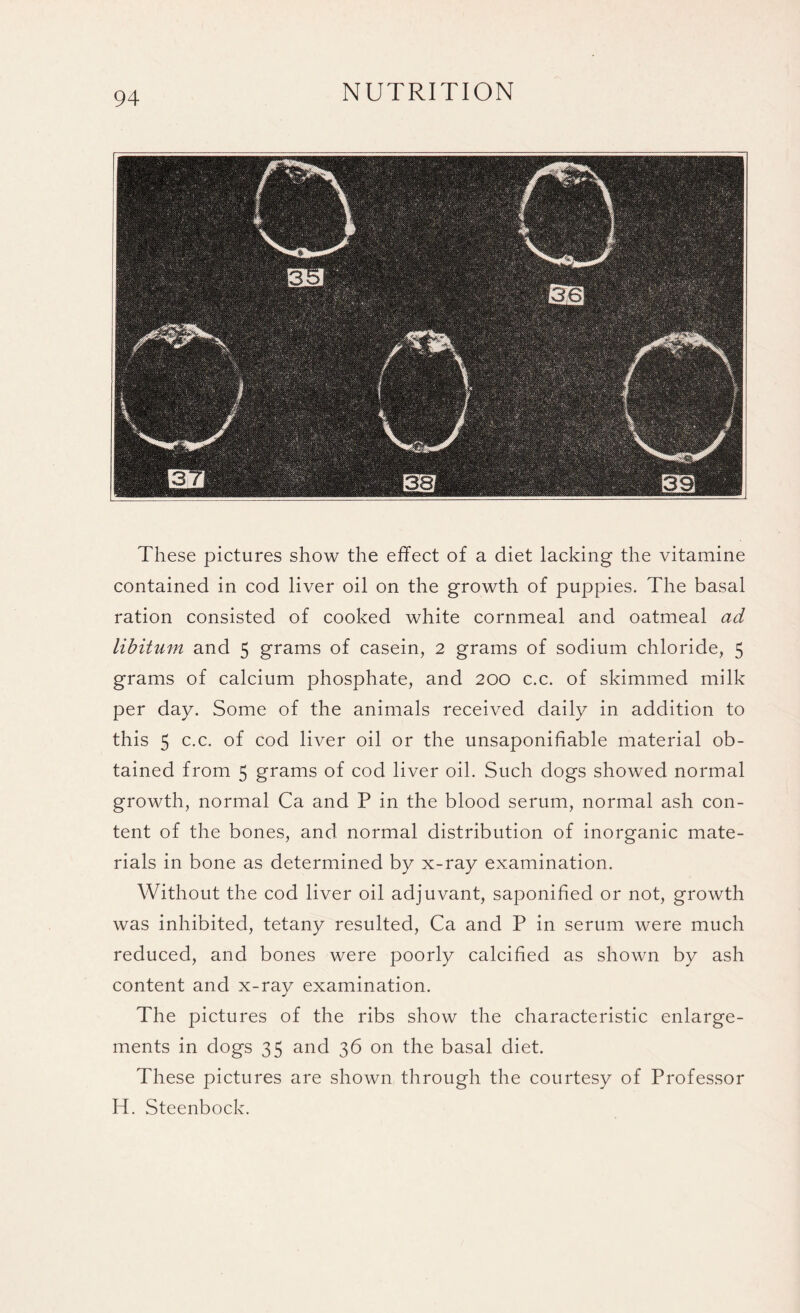 These pictures show the effect of a diet lacking the vitamine contained in cod liver oil on the growth of puppies. The basal ration consisted of cooked white cornmeal and oatmeal ad libitum and 5 grams of casein, 2 grams of sodium chloride, 5 grams of calcium phosphate, and 200 c.c. of skimmed milk per day. Some of the animals received daily in addition to this 5 c.c. of cod liver oil or the unsaponifiable material ob¬ tained from 5 grams of cod liver oil. Such dogs showed normal growth, normal Ca and P in the blood serum, normal ash con¬ tent of the bones, and normal distribution of inorganic mate¬ rials in bone as determined by x-ray examination. Without the cod liver oil adjuvant, saponified or not, growth was inhibited, tetany resulted, Ca and P in serum were much reduced, and bones were poorly calcified as shown by ash content and x-ray examination. The pictures of the ribs show the characteristic enlarge¬ ments in dogs 35 and 36 on the basal diet. These pictures are shown through the courtesy of Professor H. Steenbock.