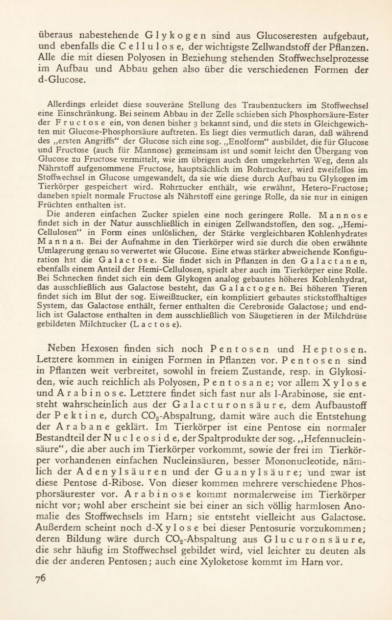 überaus nabestehende Glykogen sind aus Glucoseresten aufgebaut, und ebenfalls die Cellulose, der wichtigste Zellwandstoff der Pflanzen* Alle die mit diesen Polyosen in Beziehung stehenden Stoffwechselprozesse im Aufbau und Abbau gehen also über die verschiedenen Formen der d-Glucose* Allerdings erleidet diese souveräne Stellung des Traubenzuckers im Stoffwechsel eine Einschränkung. Bei seinem Abbau in der Zelle schieben sich Phosphorsäure-Ester der Fructose ein, von denen bisher 3 bekannt sind, und die stets in Gleichgewich- ten mit Glucose-Phosphorsäure auftreten. Es liegt dies vermutlich daran, daß während des „ersten Angriffs der Glucose sich eine sog. „Enolform ausbildet, die für Glucose und Fructose (auch für Mannose) gemeinsam ist und somit leicht den Übergang von Glucose zu Fructose vermittelt, wie im übrigen auch den umgekehrten Weg, denn als Nährstoff aufgenommene Fructose, hauptsächlich im Rohrzucker, wird zweifellos im Stoffwechsel in Glucose umgewandelt, da sie wie diese durch Aufbauzu Glykogen im Tierkörper gespeichert wird. Rohrzucker enthält, wie erwähnt, Hetero-Fructose; daneben spielt normale Fructose als Nährstoff eine geringe Rolle, da sie nur in einigen Früchten enthalten ist. Die anderen einfachen Zucker spielen eine noch geringere Rolle* Mannose findet sich in der Natur ausschließlich in einigen Zellwandstoffen, den sog. „Hemi- Cellulosen in Form eines unlöslichen, der Stärke vergleichbaren Kohlenhydrates M a n n a n. Bei der Aufnahme in den Tierkörper wird sie durch die oben erwähnte Umlagerung genau so verwertet wie Glucose. Eine etwas stärker abweichende Konfigu- ration hat die Galactose* Sie findet sich in Pflanzen in den Galactanen, ebenfalls einem Anteil der Hemi-Cellulosen, spielt aber auch im Tierkörper eine Rolle. Bei Schnecken findet sich ein dem Glykogen analog gebautes höheres Kohlenhydrat, das ausschließlich aus Galactose besteht, das Galactogen. Bei höheren Tieren findet sich im Blut der sog. Eiweißzucker, ein kompliziert gebautes stickstoffhaltiges System, das Galactose enthält, ferner enthalten die Cerebroside Galactose; und end- lich ist Galactose enthalten in dem ausschließlich von Säugetieren in der Milchdrüse gebildeten Milchzucker (Lactose). Neben Hexosen finden sich noch Pentosen und Heptosen* Letztere kommen in einigen Formen in Pflanzen vor. Pentosen sind in Pflanzen weit verbreitet, sowohl in freiem Zustande, resp. in Glykosi- den, wie auch reichlich als Polyosen, Pentosane; vor allem X y 1 o s e und Arabinose. Letztere findet sich fast nur als 1-Arabinose, sie ent- steht wahrscheinlich aus der Galacturonsäure, dem Aufbaustoff der Pektine, durch C02-Abspaltung, damit wäre auch die Entstehung der A r a b a n e geklärt* Im Tierkörper ist eine Pentose ein normaler Bestandteil der Nucleoside, der Spaltprodukte der sog. „Hefennuclein- säure“, die aber auch im Tierkörper vorkommt, sowie der frei im Tierkör- per vorhandenen einfachen Nucleinsäuren, besser Mononucleotide, näm- lich der Adenylsäuren und der Guanylsäure; und zwar ist diese Pentose d-Ribose* Von dieser kommen mehrere verschiedene Phos- phorsäurester vor* Arabinose kommt normalerweise im Tierkörper nicht vor; wohl aber erscheint sie bei einer an sich völlig harmlosen Ano- malie des Stoffwechsels im Harn; sie entsteht vielleicht aus Galactose* Außerdem scheint noch d-X y 1 o s e bei dieser Pentosurie vorzukommen; deren Bildung wäre durch C02-Abspaltung aus Glucuronsäure, die sehr häufig im Stoffwechsel gebildet wird, viel leichter zu deuten als die der anderen Pentosen; auch eine Xyloketose kommt im Harn vor.