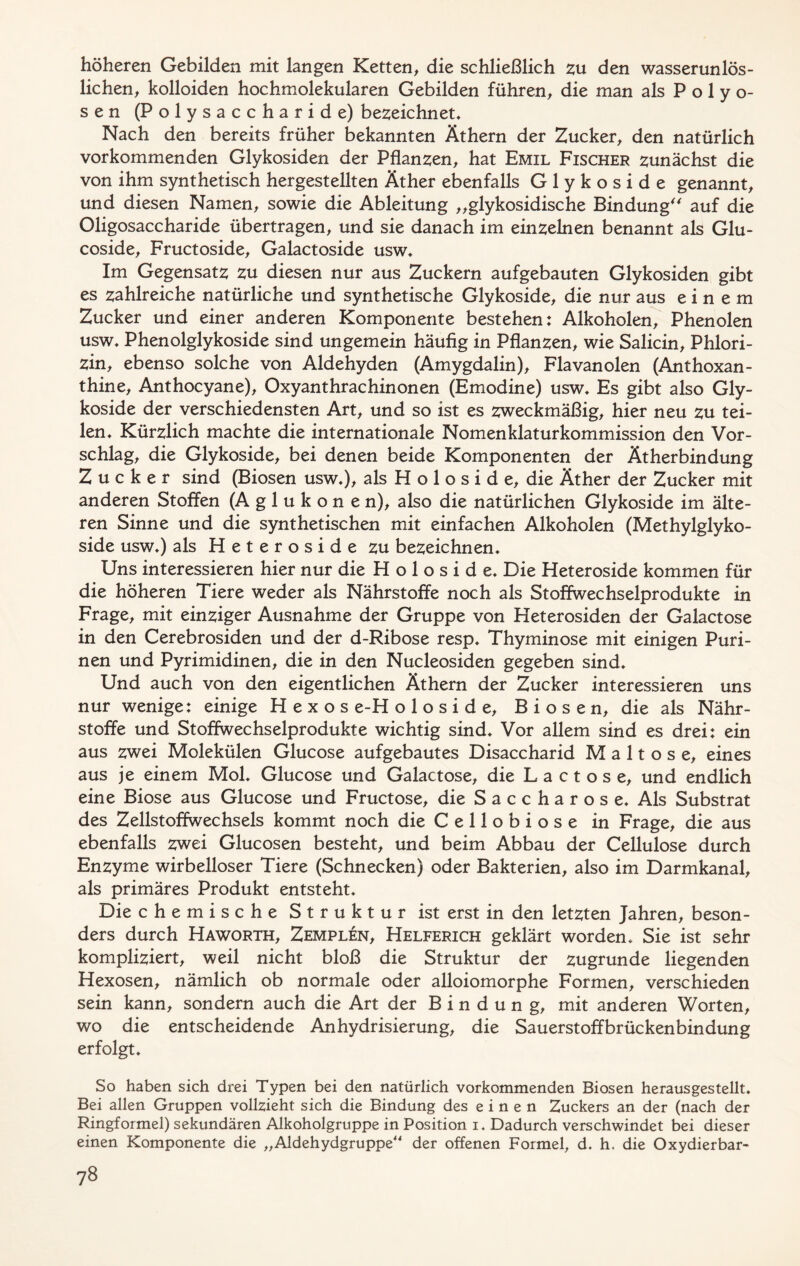 höheren Gebilden mit langen Ketten, die schließlich zu den wasserunlös- lichen, kolloiden hochmolekularen Gebilden führen, die man als Polyo- sen (Polysaccharide) bezeichnet* Nach den bereits früher bekannten Äthern der Zucker, den natürlich vorkommenden Glykosiden der Pflanzen, hat Emil Fischer zunächst die von ihm synthetisch hergestellten Äther ebenfalls Glykoside genannt, und diesen Namen, sowie die Ableitung „glykosidische Bindung auf die Oligosaccharide übertragen, und sie danach im einzelnen benannt als Glu- coside, Fructoside, Galactoside usw* Im Gegensatz zu diesen nur aus Zuckern aufgebauten Glykosiden gibt es zahlreiche natürliche und synthetische Glykoside, die nur aus einem Zucker und einer anderen Komponente bestehen: Alkoholen, Phenolen usw* Phenolglykoside sind ungemein häufig in Pflanzen, wie Salicin, Phlori- zin, ebenso solche von Aldehyden (Amygdalin), Flavanolen (Anthoxan- thine, Anthocyane), Oxyanthrachinonen (Emodine) usw* Es gibt also Gly- koside der verschiedensten Art, und so ist es zweckmäßig, hier neu zu tei- len* Kürzlich machte die internationale Nomenklaturkommission den Vor- schlag, die Glykoside, bei denen beide Komponenten der Ätherbindung Zucker sind (Biosen usw*), als H o 1 o s i d e, die Äther der Zucker mit anderen Stoffen (A g 1 u k o n e n), also die natürlichen Glykoside im älte- ren Sinne und die synthetischen mit einfachen Alkoholen (Methylglyko- side usw*) als H e t e r o s i d e zu bezeichnen* Uns interessieren hier nur die H o 1 o s i d e* Die Heteroside kommen für die höheren Tiere weder als Nährstoffe noch als Stoffwechselprodukte in Frage, mit einziger Ausnahme der Gruppe von Heterosiden der Galactose in den Cerebrosiden und der d-Ribose resp* Thyminose mit einigen Puri- nen und Pyrimidinen, die in den Nucleosiden gegeben sind* Und auch von den eigentlichen Äthern der Zucker interessieren uns nur wenige: einige H e x o s e-H o 1 o s i d e, Biosen, die als Nähr- stoffe und Stoffwechselprodukte wichtig sind* Vor allem sind es drei: ein aus zwei Molekülen Glucose aufgebautes Disaccharid Maltose, eines aus je einem Mol* Glucose und Galactose, die Lactose, und endlich eine Biose aus Glucose und Fructose, die Saccharose* Als Substrat des Zellstoffwechsels kommt noch die Cellobiose in Frage, die aus ebenfalls zwei Glucosen besteht, und beim Abbau der Cellulose durch Enzyme wirbelloser Tiere (Schnecken) oder Bakterien, also im Darmkanal, als primäres Produkt entsteht* Die chemische Struktur ist erst in den letzten Jahren, beson- ders durch Haworth, Zemplen, Helferich geklärt worden* Sie ist sehr kompliziert, weil nicht bloß die Struktur der zugrunde liegenden Hexosen, nämlich ob normale oder alloiomorphe Formen, verschieden sein kann, sondern auch die Art der Bindung, mit anderen Worten, wo die entscheidende Anhydrisierung, die Sauerstoffbrückenbindung erfolgt* So haben sich drei Typen bei den natürlich vorkommenden Biosen herausgestellt. Bei allen Gruppen vollzieht sich die Bindung des einen Zuckers an der (nach der Ringformel) sekundären Alkoholgruppe in Position i* Dadurch verschwindet bei dieser einen Komponente die „Aldehydgruppe“ der offenen Formel, d. h. die Oxydierbar-