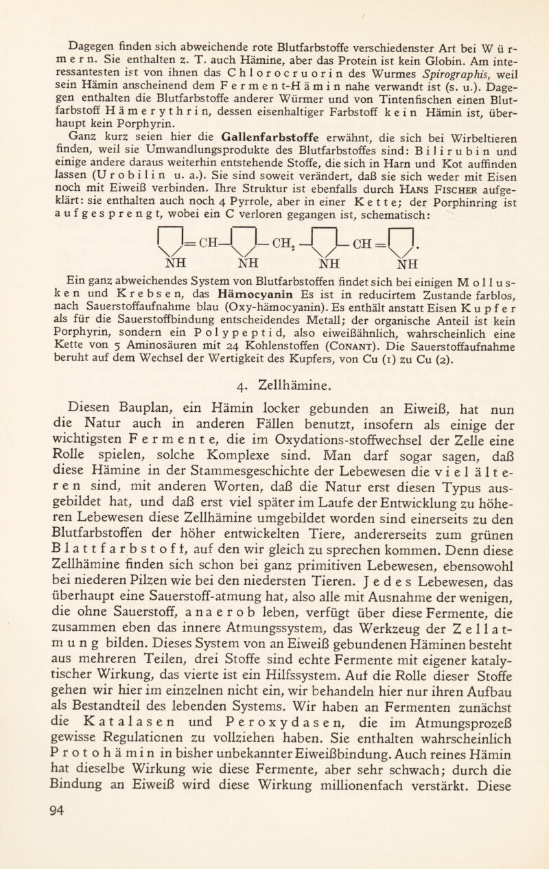 Dagegen finden sich abweichende rote Blutfarbstoffe verschiedenster Art bei Wür- mern. Sie enthalten z. T. auch Hämine, aber das Protein ist kein Globin. Am inte- ressantesten ist von ihnen das C h 1 o r o c r u o r i n des Wurmes Spirographis, weil sein Hämin anscheinend dem Fermen t-H ä m i n nahe verwandt ist (s. u.). Dage- gen enthalten die Blutfarbstoffe anderer Würmer und von Tintenfischen einen Blut- farbstoff Hämerythrin, dessen eisenhaltiger Farbstoff kein Hämin ist, über- haupt kein Porphyrin. Ganz kurz seien hier die Gallenfarbstoffe erwähnt, die sich bei Wirbeltieren finden, weil sie Umwandlungsprodukte des Blutfarbstoffes sind: Bilirubin und einige andere daraus weiterhin entstehende Stoffe, die sich in Harn und Kot auffinden lassen (Urobilin u. a.). Sie sind soweit verändert, daß sie sich weder mit Eisen noch mit Eiweiß verbinden. Ihre Struktur ist ebenfalls durch Hans Fischer aufge- klärt: sie enthalten auch noch 4 Pyrrole, aber in einer Kette; der Porphinring ist aufgesprengt, wobei ein C verloren gegangen ist, schematisch: Ein ganz abweichendes System von Blutfarbstoffen findet sich bei einigen Mollus- ken und Krebsen, das Hämocyanin Es ist in reducirtem Zustande farblos, nach Sauerstoffaufnahme blau (Oxy-hämocyanin). Es enthält anstatt Eisen Kupfer als für die Sauerstoffbindung entscheidendes Metall; der organische Anteil ist kein Porphyrin, sondern ein Polypeptid, also eiweißähnlich, wahrscheinlich eine Kette von 5 Aminosäuren mit 24 Kohlenstoffen (Conant). Die Sauerstoffaufnahme beruht auf dem Wechsel der Wertigkeit des Kupfers, von Cu (1) zu Cu (2). 4. Zellhämine. Diesen Bauplan, ein Hämin locker gebunden an Eiweiß, hat nun die Natur auch in anderen Fällen benutzt, insofern als einige der wichtigsten Fermente, die im Oxydations-stoffwechsel der Zelle eine Rolle spielen, solche Komplexe sind. Man darf sogar sagen, daß diese Hämine in der Stammesgeschichte der Lebewesen die viel älte- ren sind, mit anderen Worten, daß die Natur erst diesen Typus aus- gebildet hat, und daß erst viel später im Laufe der Entwicklung zu höhe- ren Lebewesen diese Zellhämine umgebildet worden sind einerseits zu den Blutfarbstoffen der höher entwickelten Tiere, andererseits zum grünen Blattfarbstoff, auf den wir gleich zu sprechen kommen. Denn diese Zellhämine finden sich schon bei ganz primitiven Lebewesen, ebensowohl bei niederen Pilzen wie bei den niedersten Tieren. Jedes Lebewesen, das überhaupt eine Sauerstoff-atmung hat, also alle mit Ausnahme der wenigen, die ohne Sauerstoff, a n a e r o b leben, verfügt über diese Fermente, die zusammen eben das innere Atmungssystem, das Werkzeug der Zellat- mung bilden. Dieses System von an Eiweiß gebundenen Häminen besteht aus mehreren Teilen, drei Stoffe sind echte Fermente mit eigener kataly- tischer Wirkung, das vierte ist ein Hilfssystem. Auf die Rolle dieser Stoffe gehen wir hier im einzelnen nicht ein, wir behandeln hier nur ihren Aufbau als Bestandteil des lebenden Systems. Wir haben an Fermenten zunächst die Katalasen und Peroxydasen, die im Atmungsprozeß gewisse Regulationen zu vollziehen haben. Sie enthalten wahrscheinlich Protohämin in bisher unbekannter Eiweißbindung. Auch reines Hämin hat dieselbe Wirkung wie diese Fermente, aber sehr schwach; durch die Bindung an Eiweiß wird diese Wirkung millionenfach verstärkt. Diese