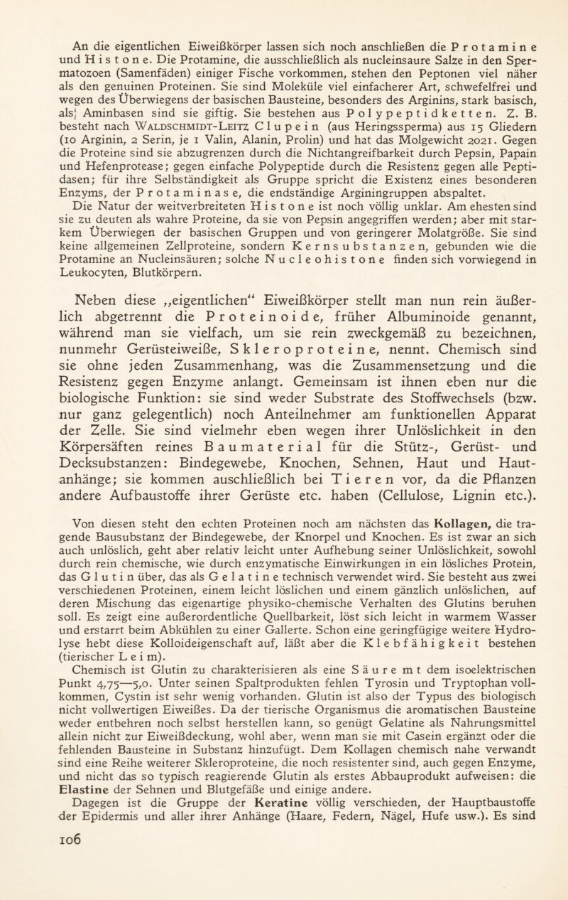 An die eigentlichen Eiweißkörper lassen sich noch anschließen die Protamine und His tone, Die Protamine, die ausschließlich als nucleinsaure Salze in den Sper- matozoen (Samenfäden) einiger Fische Vorkommen, stehen den Peptonen viel näher als den genuinen Proteinen, Sie sind Moleküle viel einfacherer Art, schwefelfrei und wegen des Überwiegens der basischen Bausteine, besonders des Arginins, stark basisch, als Aminbasen sind sie giftig. Sie bestehen aus Polypeptidketten. Z. B. besteht nach Waldschmidt-Leitz Clupein (aus Heringssperma) aus 15 Gliedern (10 Arginin, 2 Serin, je 1 Valin, Alanin, Prolin) und hat das Molgewicht 2021. Gegen die Proteine sind sie abzugrenzen durch die Nichtangreifbarkeit durch Pepsin, Papain und Hefenprotease; gegen einfache Polypeptide durch die Resistenz gegen alle Pepti- dasen; für ihre Selbständigkeit als Gruppe spricht die Existenz eines besonderen Enzyms, der Protaminase, die endständige Arginingruppen abspaltet. Die Natur der weitverbreiteten H i s t o n e ist noch völlig unklar. Am ehesten sind sie zu deuten als wahre Proteine, da sie von Pepsin angegriffen werden; aber mit star- kem Überwiegen der basischen Gruppen und von geringerer Molatgröße. Sie sind keine allgemeinen Zellproteine, sondern Kernsubstanzen, gebunden wie die Protamine an Nucleinsäuren; solche Nucleohistone finden sich vorwiegend in Leukocyten, Blutkörpern, Neben diese „eigentlichen“ Eiweißkörper stellt man nun rein äußer- lich abgetrennt die Proteinoide, früher Albuminoide genannt, während man sie vielfach, um sie rein zweckgemäß zu bezeichnen, nunmehr Gerüsteiweiße, Skleroprotein e, nennt* Chemisch sind sie ohne jeden Zusammenhang, was die Zusammensetzung und die Resistenz gegen Enzyme anlangt* Gemeinsam ist ihnen eben nur die biologische Funktion: sie sind weder Substrate des Stoffwechsels (bzw* nur ganz gelegentlich) noch Anteilnehmer am funktionellen Apparat der Zelle* Sie sind vielmehr eben wegen ihrer Unlöslichkeit in den Körpersäften reines Baumaterial für die Stütz-, Gerüst- und Decksubstanzen: Bindegewebe, Knochen, Sehnen, Haut und Haut- anhänge; sie kommen auschließlich bei Tieren vor, da die Pflanzen andere Aufbaustoffe ihrer Gerüste etc* haben (Cellulose, Lignin etc*)* Von diesen steht den echten Proteinen noch am nächsten das Kollagen, die tra- gende Bausubstanz der Bindegewebe, der Knorpel und Knochen. Es ist zwar an sich auch unlöslich, geht aber relativ leicht unter Aufhebung seiner Unlöslichkeit, sowohl durch rein chemische, wie durch enzymatische Einwirkungen in ein lösliches Protein, das Glutin über, das als G e 1 a t i n e technisch verwendet wird. Sie besteht aus zwei verschiedenen Proteinen, einem leicht löslichen und einem gänzlich unlöslichen, auf deren Mischung das eigenartige physiko-chemische Verhalten des Glutins beruhen soll. Es zeigt eine außerordentliche Quellbarkeit, löst sich leicht in warmem Wasser und erstarrt beim Abkühlen zu einer Gallerte. Schon eine geringfügige weitere Hydro- lyse hebt diese Kolloideigenschaft auf, läßt aber die Klebfähigkeit bestehen (tierischer Lei m). Chemisch ist Glutin zu charakterisieren als eine Säure m t dem isoelektrischen Punkt 4,75—5,0. Unter seinen Spaltprodukten fehlen Tyrosin und Tryptophan voll- kommen, Cystin ist sehr wenig vorhanden. Glutin ist also der Typus des biologisch nicht vollwertigen Eiweißes. Da der tierische Organismus die aromatischen Bausteine weder entbehren noch selbst herstellen kann, so genügt Gelatine als Nahrungsmittel allein nicht zur Eiweißdeckung, wohl aber, wenn man sie mit Casein ergänzt oder die fehlenden Bausteine in Substanz hinzufügt. Dem Kollagen chemisch nahe verwandt sind eine Reihe weiterer Skleroproteine, die noch resistenter sind, auch gegen Enzyme, und nicht das so typisch reagierende Glutin als erstes Abbauprodukt aufweisen: die Elastine der Sehnen und Blutgefäße und einige andere. Dagegen ist die Gruppe der Keratine völlig verschieden, der Hauptbaustoffe der Epidermis und aller ihrer Anhänge (Haare, Federn, Nägel, Hufe usw.)* Es sind