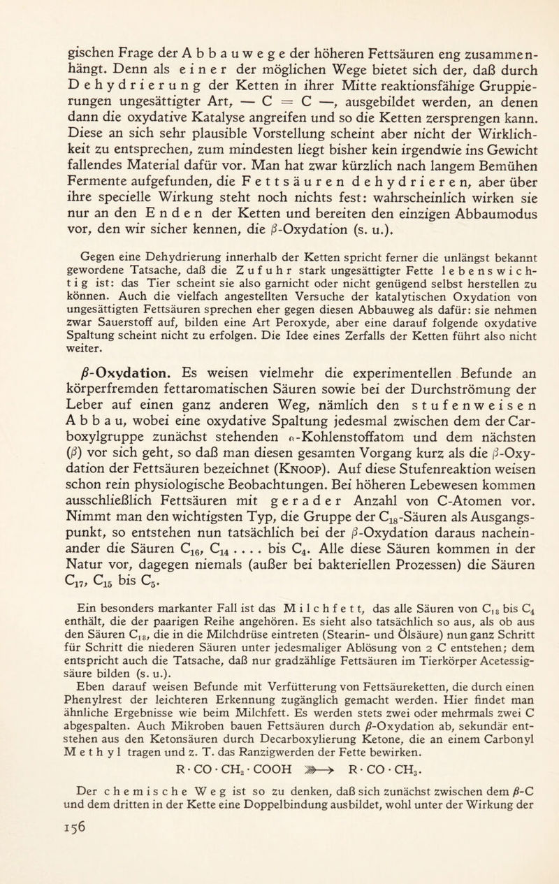 gischen Frage der Abbauwege der höheren Fettsäuren eng zusammen- hängt. Denn als einer der möglichen Wege bietet sich der, daß durch Dehydrierung der Ketten in ihrer Mitte reaktionsfähige Gruppie- rungen ungesättigter Art, — C = C —, ausgebildet werden, an denen dann die oxydative Katalyse angreifen und so die Ketten versprengen kann. Diese an sich sehr plausible Vorstellung scheint aber nicht der Wirklich- keit zu entsprechen, zum mindesten liegt bisher kein irgendwie ins Gewicht fallendes Material dafür vor. Man hat zwar kürzlich nach langem Bemühen Fermente aufgefunden, die Fettsäuren dehydrieren, aber über ihre specielle Wirkung steht noch nichts fest: wahrscheinlich wirken sie nur an den Enden der Ketten und bereiten den einzigen Abbaumodus vor, den wir sicher kennen, die ß-Oxydation (s. u.). Gegen eine Dehydrierung innerhalb der Ketten spricht ferner die unlängst bekannt gewordene Tatsache, daß die Zufuhr stark ungesättigter Fette lebenswich- tig ist: das Tier scheint sie also garnicht oder nicht genügend selbst hersteilen zu können. Auch die vielfach angestellten Versuche der katalytischen Oxydation von ungesättigten Fettsäuren sprechen eher gegen diesen Abbauweg als dafür: sie nehmen Zwar Sauerstoff auf, bilden eine Art Peroxyde, aber eine darauf folgende oxydative Spaltung scheint nicht zu erfolgen. Die Idee eines Zerfalls der Ketten führt also nicht weiter. /?-Oxydation. Es weisen vielmehr die experimentellen Befunde an körperfremden fettaromatischen Säuren sowie bei der Durchströmung der Leber auf einen ganz anderen Weg, nämlich den stufenweisen Abbau, wobei eine oxydative Spaltung jedesmal zwischen dem der Car- boxylgruppe zunächst stehenden n-Kohlenstoffatom und dem nächsten (ß) vor sich geht, so daß man diesen gesamten Vorgang kurz als die /^-Oxy- dation der Fettsäuren bezeichnet (Knoop). Auf diese Stufenreaktion weisen schon rein physiologische Beobachtungen. Bei höheren Lebewesen kommen ausschließlich Fettsäuren mit gerader Anzahl von C-Atomen vor. Nimmt man den wichtigsten Typ, die Gruppe der C18-Säuren als Ausgangs- punkt, so entstehen nun tatsächlich bei der ß-Oxydation daraus nachein- ander die Säuren C16, C14 .... bis C4. Alle diese Säuren kommen in der Natur vor, dagegen niemals (außer bei bakteriellen Prozessen) die Säuren Gi7> C15 bis C5. Ein besonders markanter Fall ist das Milchfett, das alle Säuren von C18 bis C4 enthält, die der paarigen Reihe angehören. Es sieht also tatsächlich so aus, als ob aus den Säuren C18, die in die Milchdrüse eintreten (Stearin- und Ölsäure) nun ganz Schritt für Schritt die niederen Säuren unter jedesmaliger Ablösung von 2 C entstehen; dem entspricht auch die Tatsache, daß nur gradzählige Fettsäuren im Tierkörper Acetessig- säure bilden (s. u.). Eben darauf weisen Befunde mit Verfütterung von Fettsäureketten, die durch einen Phenylrest der leichteren Erkennung zugänglich gemacht werden. Hier findet man ähnliche Ergebnisse wie beim Milchfett. Es werden stets zwei oder mehrmals zwei C abgespalten. Auch Mikroben bauen Fettsäuren durch ^-Oxydation ab, sekundär ent- stehen aus den Ketonsäuren durch Decarboxylierung Ketone, die an einem Carbonyl Methyl tragen und z. T. das Ranzigwerden der Fette bewirken. R • CO • CHo * COOH J»—> R-CO-CH3. Der chemische Weg ist so zu denken, daß sich zunächst zwischen dem ß-C und dem dritten in der Kette eine Doppelbindung ausbildet, wohl unter der Wirkung der