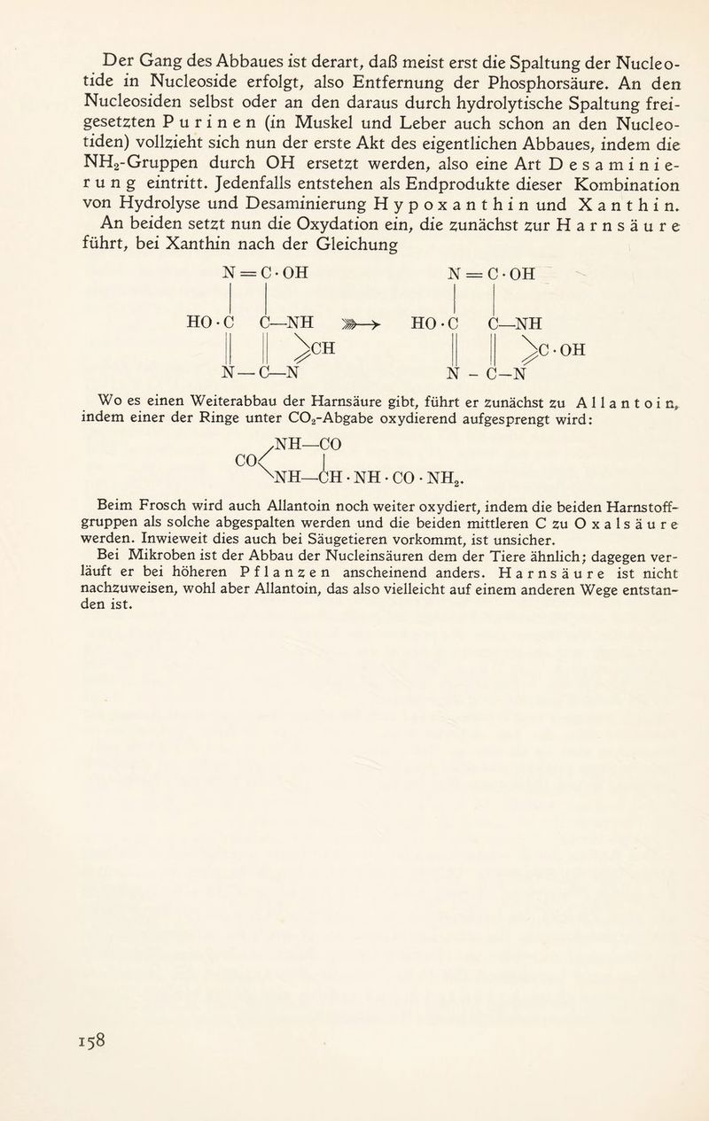 Der Gang des Abbaues ist derart, daß meist erst die Spaltung der Nucleo- tide in Nucleoside erfolgt, also Entfernung der Phosphorsäure* An den Nucleosiden selbst oder an den daraus durch hydrolytische Spaltung frei- gesetzten P u r i n e n (in Muskel und Leber auch schon an den Nucleo- tiden) vollzieht sich nun der erste Akt des eigentlichen Abbaues, indem die NH2-Gruppen durch OH ersetzt werden, also eine Art D e s a m i n i e- r u n g eintritt* Jedenfalls entstehen als Endprodukte dieser Kombination von Hydrolyse und Desaminierung Hypoxanthin und Xanthin* An beiden setzt nun die Oxydation ein, die zunächst zur Harnsäure führt, bei Xanthin nach der Gleichung N = C • OH N = C • OH HO • C C—NH HO • C C—NH N —C—N CH 0 • OH N - C-N Wo es einen Weiterabbau der Harnsäure gibt, führt er zunächst zu Allantoin, indem einer der Ringe unter COa-Abgabe oxydierend aufgesprengt wird: CO NH—CO NH—CH • NH • CO • NH2. Beim Frosch wird auch Allantoin noch weiter oxydiert, indem die beiden Harnstoff- gruppen als solche abgespalten werden und die beiden mittleren C zu Oxalsäure werden* Inwieweit dies auch bei Säugetieren vorkommt, ist unsicher* Bei Mikroben ist der Abbau der Nucleinsäuren dem der Tiere ähnlich; dagegen ver- läuft er bei höheren Pflanzen anscheinend anders* Harnsäure ist nicht nachzuweisen, wohl aber Allantoin, das also vielleicht auf einem anderen Wege entstan- den ist* i58