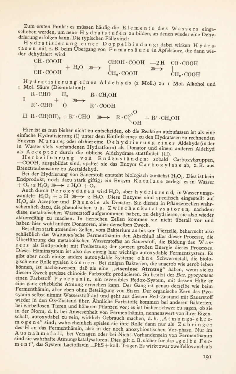 Zum ersten Punkt: es müssen häufig die Elemente des Wassers einge- schoben werden, um neue Hydratstufen zu bilden, an denen wieder eine Dehy- drierung erfolgen kann. Die typischen Fälle sind: Hydratisierung einer Doppelbindung; dabei wirken Hydra- t a s e n mit, z. B. beim Übergang von Fumarsäure in Äpfelsäure, die dann wie- der dehydriert wird CH • CO OH II + h20 CH•COOH CHOH • COOH —2 H CO • COOH ®—> | M—y CHa • COOH CH2 • COOH ?,y,doratiUerung eines Aldehyds (2 Moll.) zu i Mol. Alkohol und i Mol. Saure (Dismutation): R • CHO H2 R. CH2OH I + | M—>- R'-CHO 0 R'-COOH II R • CH(OH)2 + R' • CHO 'M—> R • C<f + R'. CH,OH xOH Hier ist es nun bisher nicht zu entscheiden, ob die Reaktion aufzufassen ist als eine einfache Hydratisierung (I) unter dem Einfluß eines zu den Hydratasen zu rechnenden Enzyms M u t a s e; oder ob hier eine Dehydrierung eines Aldehyds (in der in Wasser stets vorhandenen Hydratform) als Donator und einem anderen Aldehyd als Acceptor durch die übliche Aldehydrase stattfindet (II). e ^ ü um n ? ,v ° n, Endzuständen: sobald Carboxylgruppen, COOH, ausgebildet sind, spaltet sie das Enzym Carboxylase ab, z. B. aus Brenztraubensäure zu Acetaldehyd. B.ei der Hydrierung von Sauerstoff entsteht biologisch zunächst H202. Dies ist kein Endprodukt, noch dazu stark giftig; ein Enzym Katalase zerlegt es in Wasser + 02:2 H202 2 H20 + Oa. Auch durch Peroxydasen wird H202, aber h y d r i e r e n d, in Wasser umge- wandelt: H202 + 2 H ^ 2 H20. Diese Enzyme sind specifisch eingestellt auf H202 als Acceptor und Phenole als Donator. Sie dienen in Pflanzenzellen wahr- scheinlich dazu, die phenohschen u. a. Zwischenkatalysatoren, nachdem diese metabolischen Wasserstoff aufgenommen haben, zu dehydrieren, sie also wieder aktionsfähig zu machen. In tierischen Zellen kommen sie nicht überall vor und haben hier wohl andere Donatoren, aber denselben Zweck. jtark atmenden Zellen, vom Bakterium an bis Zur Tierzelle, beherrscht also schheßlich das War bur g ’s che Fermenthämin den Abschluß aller dieser Prozesse die Überführung des metabolischen Wasserstoffes an Sauerstoff, die Bildung des Was- sers als Endprodukt mit Freisetzung der ganzen großen Energie dieses Prozesses. Dieses Hammsystem ist also das einzig hier wichtige autoxydable Fermentsystem. Es gibt aber noch einige andere autoxydable Systeme ohne Schwermetall, die biolo- gisch eine Rolle spielen können. Bei einigen Bakterien, die anaerob wie aerob leben können, ist nachzuweisen, daß sie eine „eisenlose Atmung haben, wenn sie zu diesem Zweck gewisse chinoide Farbstoffe producieren. So besitzt der Bac. pyocyaneus einen Farbstoff P y o c y a n i n, ein reversibles Redox-System, mit dessen Hilfe er eine ganz erhebliche Atmung erreichen kann. Der Gang ist genau derselbe wie beim Fermenthämin, aber eben ohne Beteiligung von Eisen. Der organische Kern des Pyo- cyanin selbst nimmt Wasserstoff auf und geht aus diesem Red-Zustand mit Sauerstoff wieder in den Ox-Zustand über. Ähnliche Farbstoffe kommen bei anderen Bakterien, ei wirbellosen Tieren und höheren Pflanzen vor; es ist bisher schwer zu sagen, ob sie m der Norm, d. h,. bei Anwesenheit von Fermenthämin, nennenswert von ihrer Eigen- schaft, autoxydabel zu sein, wirklich Gebrauch machen, d. h. „A tmungs-chro- m o g e n e“ sind; wahrscheinlich spielen sie ihre Rolle dann nur als Zubringer des H an das Fermenthämin, also in der noch anoxybiontischen Vor-phase. Nur im A us nahmefall, bei Versagen oder bei Nicht-Vorhandensein von Fermenthämin sind sie wahrhafte Atmungskatalysatoren. Dies gilt z. B. sicher für das „g e 1 b e Fe r- ment, das System Lactoflavin — PhS + koll. Träger. Es wirkt zwar zweifellos auch als