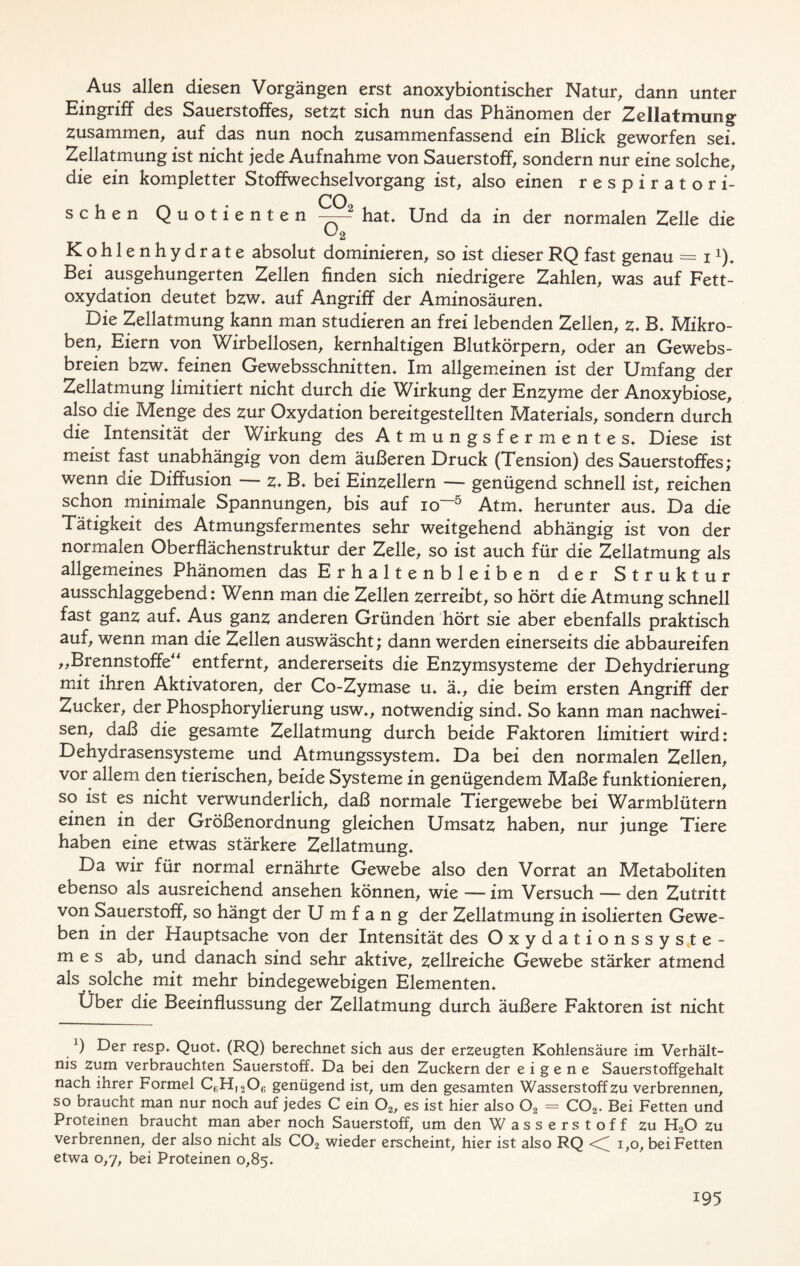 Aus allen diesen Vorgängen erst anoxybiontischer Natur, dann unter Eingriff des Sauerstoffes, setzt sich nun das Phänomen der ZellaLtmiing zusammen, auf das nun noch zusammenfassend ein Blick geworfen sei. Zellatmung ist nicht jede Aufnahme von Sauerstoff, sondern nur eine solche, die ein kompletter Stoffwechselvorgang ist, also einen respiratori- CO sehen Quotienten —-2 hat. Und da in der normalen Zelle die U2 Kohlenhydrate absolut dominieren, so ist dieser RQ fast genau = iJ). Bei ausgehungerten Zellen finden sich niedrigere Zahlen, was auf Fett- oxydation deutet bzw. auf Angriff der Aminosäuren. Die Zellatmung kann man studieren an frei lebenden Zellen, z. B. Mikro- ben, Eiern von Wirbellosen, kernhaltigen Blutkörpern, oder an Gewebs- breien bzw. feinen Gewebsschnitten. Im allgemeinen ist der Umfang der Zellatmung limitiert nicht durch die Wirkung der Enzyme der Anoxybiose, also die Menge des zur Oxydation bereitgestellten Materials, sondern durch die Intensität der Wirkung des Atmungsfermentes. Diese ist meist fast unabhängig von dem äußeren Druck (Tension) des Sauerstoffes; wenn die Diffusion — z. B. bei Einzellern — genügend schnell ist, reichen schon minimale Spannungen, bis auf io“5 Atm. herunter aus. Da die Tätigkeit des Atmungsfermentes sehr weitgehend abhängig ist von der normalen Oberflächenstruktur der Zelle, so ist auch für die Zellatmung als allgemeines Phänomen das Erhaltenbleiben der Struktur ausschlaggebend: Wenn man die Zellen zerreibt, so hört die Atmung schnell fast ganz auf. Aus ganz anderen Gründen hört sie aber ebenfalls praktisch auf, wenn man die Zellen auswäscht; dann werden einerseits die abbaureifen „Brennstoffe“ entfernt, andererseits die Enzymsysteme der Dehydrierung mit ihren Aktivatoren, der Co-Zymase u. ä., die beim ersten Angriff der Zucker, der Phosphorylierung usw., notwendig sind. So kann man nachwei- sen, daß die gesamte Zellatmung durch beide Faktoren limitiert wird: Dehydrasensysteme und Atmungssystem. Da bei den normalen Zellen, vor allem den tierischen, beide Systeme in genügendem Maße funktionieren, so ist es nicht verwunderlich, daß normale Tiergewebe bei Warmblütern einen in der Größenordnung gleichen Umsatz haben, nur junge Tiere haben eine etwas stärkere Zellatmung. Da wir für normal ernährte Gewebe also den Vorrat an Metaboliten ebenso als ausreichend ansehen können, wie — im Versuch — den Zutritt von Sauerstoff, so hängt der Umfang der Zellatmung in isolierten Gewe- ben in der Hauptsache von der Intensität des Oxydationssyste- me s ab, und danach sind sehr aktive, zellreiche Gewebe stärker atmend als solche mit mehr bindegewebigen Elementen. Über die Beeinflussung der Zellatmung durch äußere Faktoren ist nicht Der resp. Quot. (RQ) berechnet sich aus der erzeugten Kohlensäure im Verhält- nis zum verbrauchten Sauerstoff. Da bei den Zuckern der eigene Sauerstoffgehalt nach ihrer Formel QH^O,; genügend ist, um den gesamten Wasserstoff zu verbrennen, so braucht man nur noch auf jedes C ein 02, es ist hier also 02 = C02. Bei Fetten und Proteinen braucht man aber noch Sauerstoff, um den Wasserstoff zu HoO zu verbrennen, der also nicht als C02 wieder erscheint, hier ist also RQ << 1,0, bei Fetten etwa 0,7, bei Proteinen 0,85.